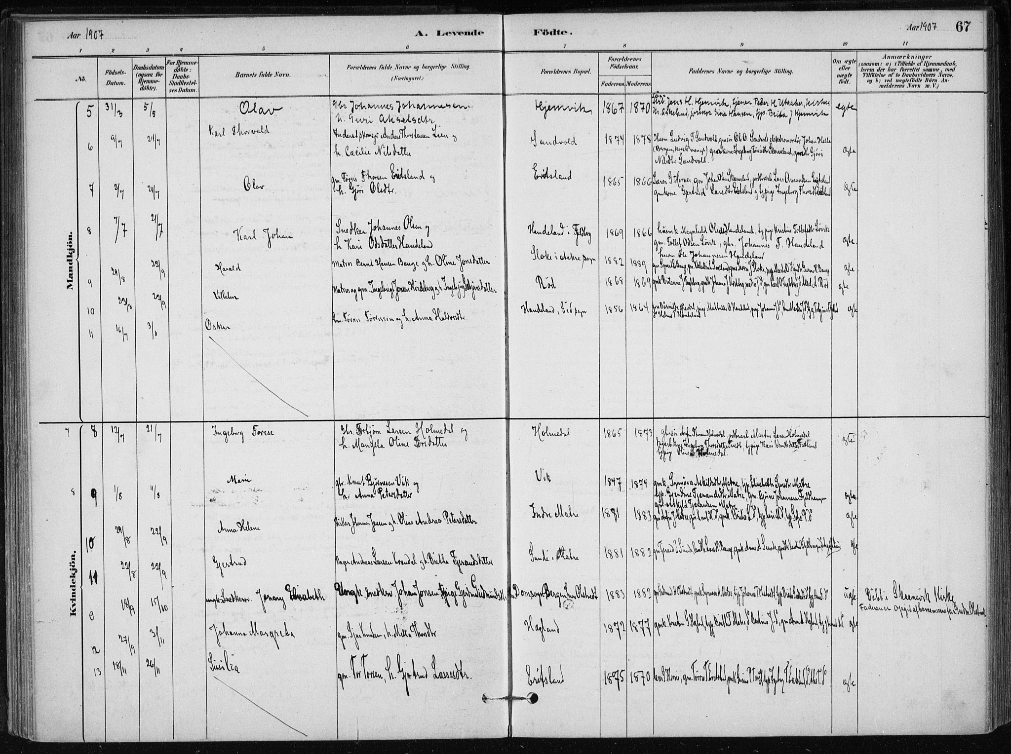 Skånevik sokneprestembete, SAB/A-77801/H/Haa: Parish register (official) no. C  1, 1879-1917, p. 67