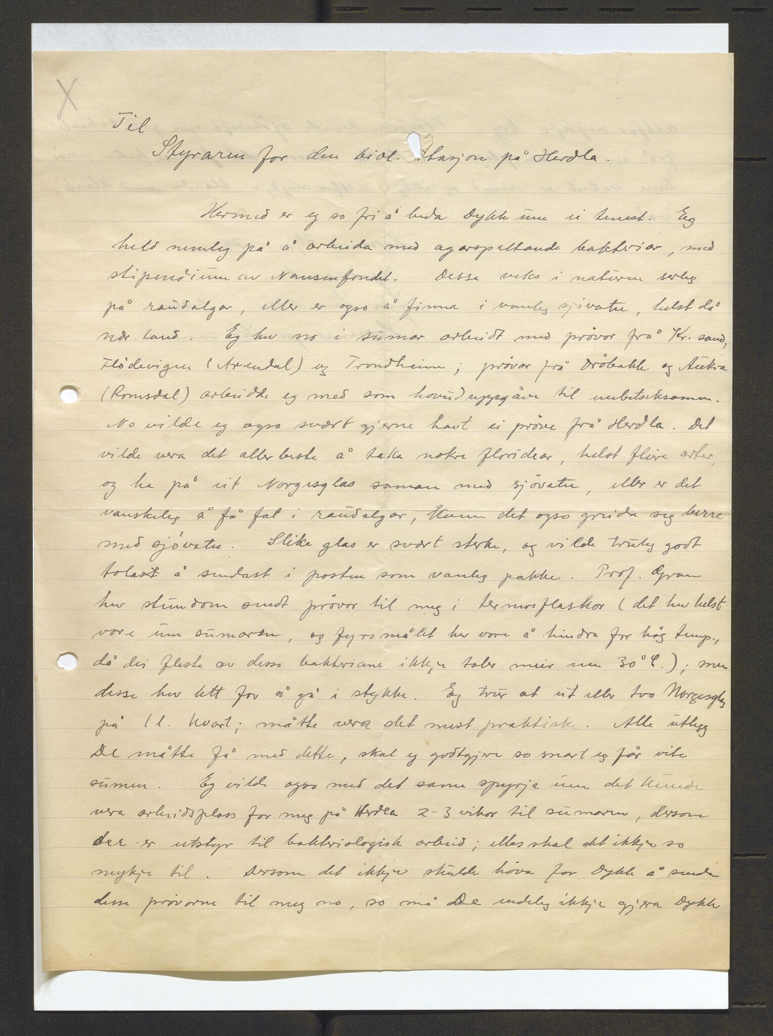 Bergens Museum, AV/SAB-A-17301/13/D/L0002: Korrespondanse , 1928-1940, p. 144