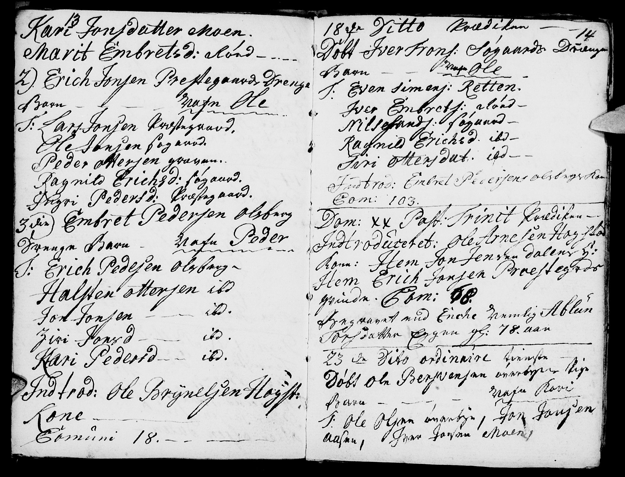 Tynset prestekontor, AV/SAH-PREST-058/H/Ha/Haa/L0005: Parish register (official) no. 5, 1761-1776, p. 13-14