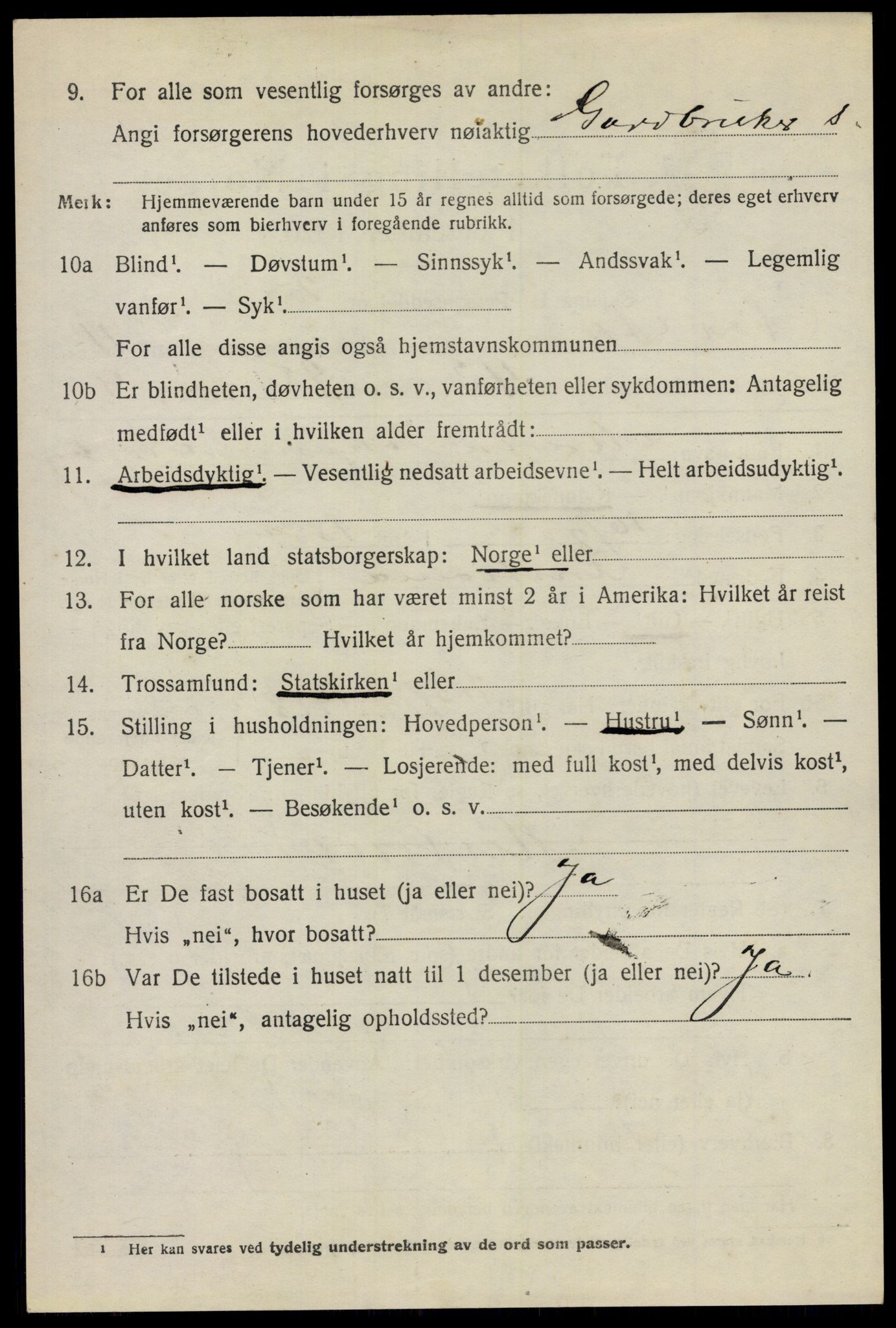 SAO, 1920 census for Nes, 1920, p. 11947