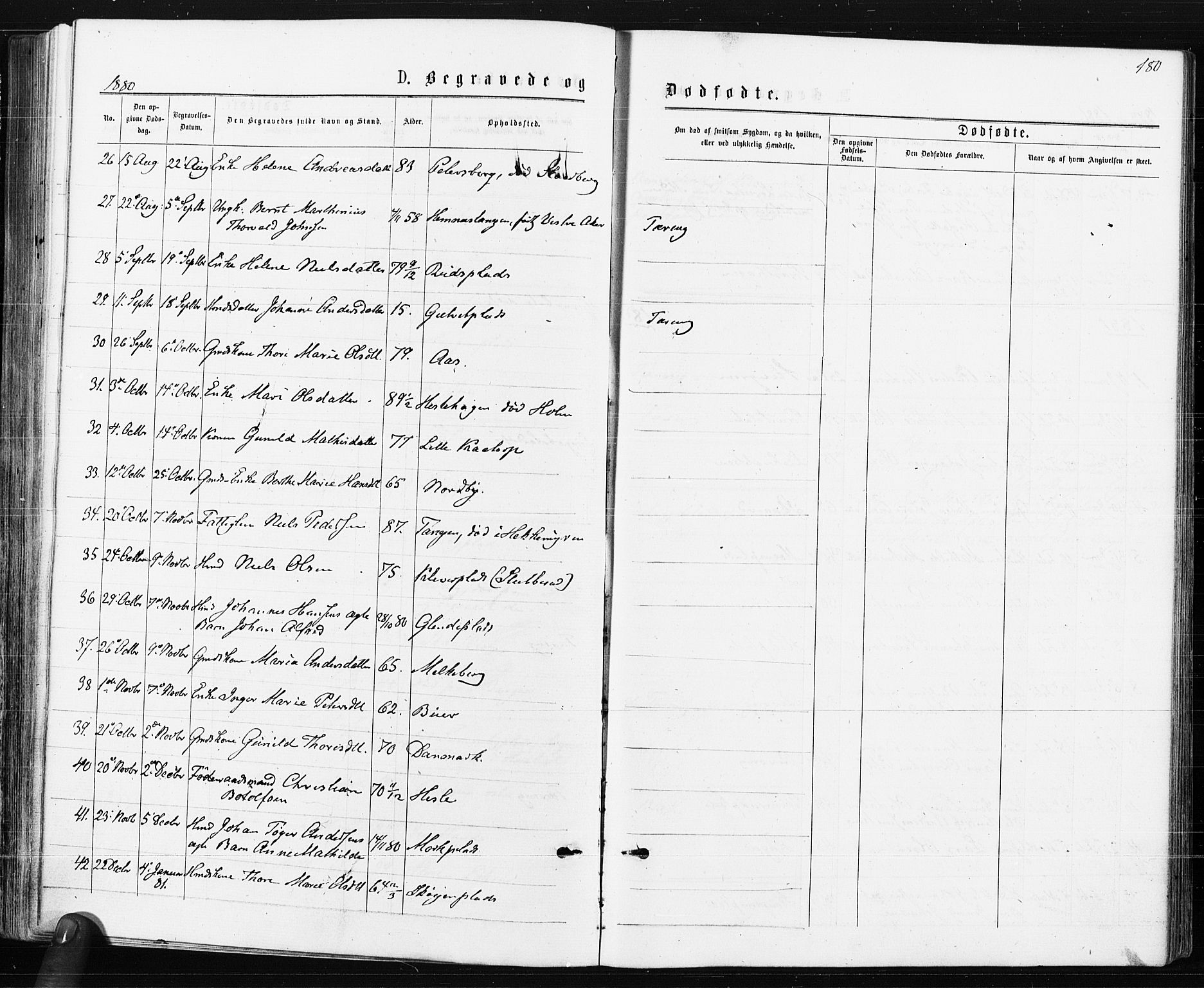 Spydeberg prestekontor Kirkebøker, AV/SAO-A-10924/F/Fa/L0007: Parish register (official) no. I 7, 1875-1885, p. 180