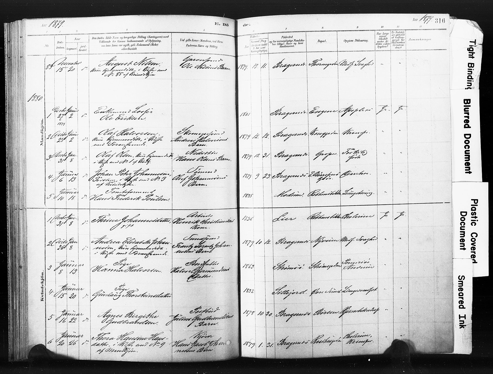 Bragernes kirkebøker, SAKO/A-6/F/Fb/L0006b: Parish register (official) no. II 6B, 1878-1885, p. 316