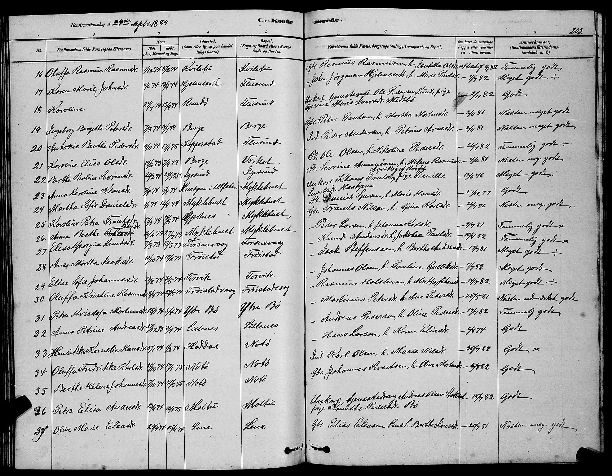 Ministerialprotokoller, klokkerbøker og fødselsregistre - Møre og Romsdal, AV/SAT-A-1454/507/L0081: Parish register (copy) no. 507C04, 1878-1898, p. 203