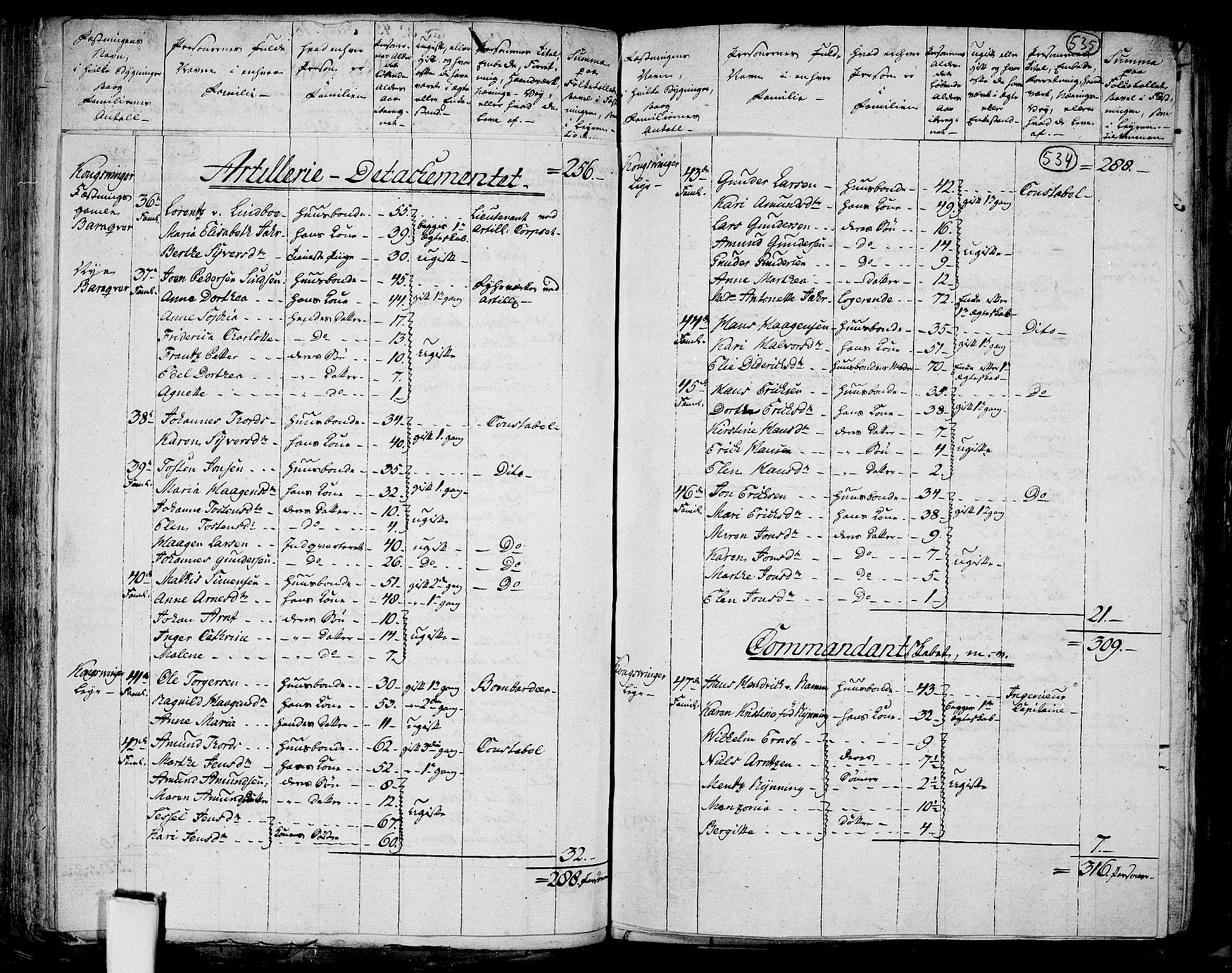 RA, 1801 census for 0421P Vinger, 1801, p. 533b-534a