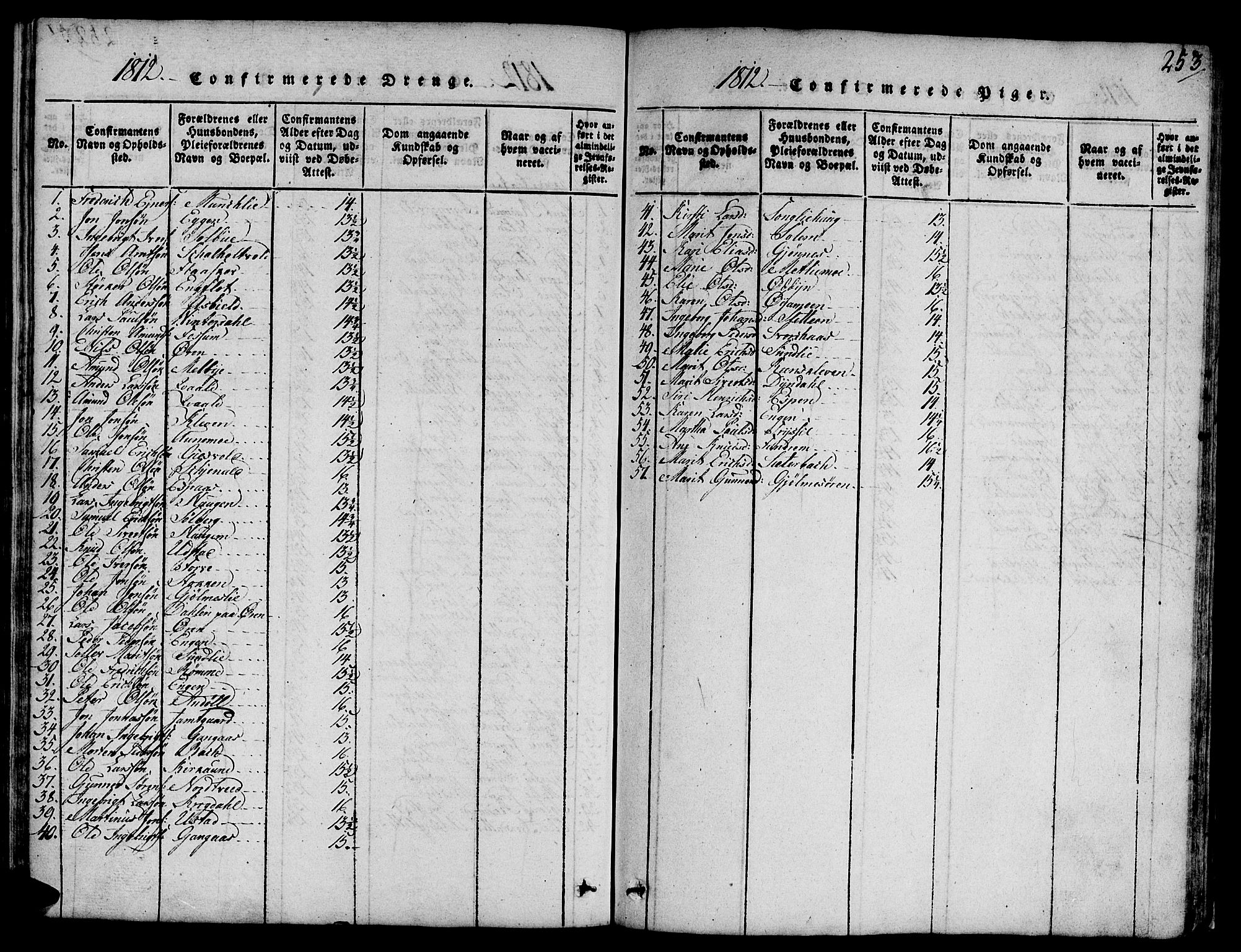 Ministerialprotokoller, klokkerbøker og fødselsregistre - Sør-Trøndelag, SAT/A-1456/668/L0803: Parish register (official) no. 668A03, 1800-1826, p. 253