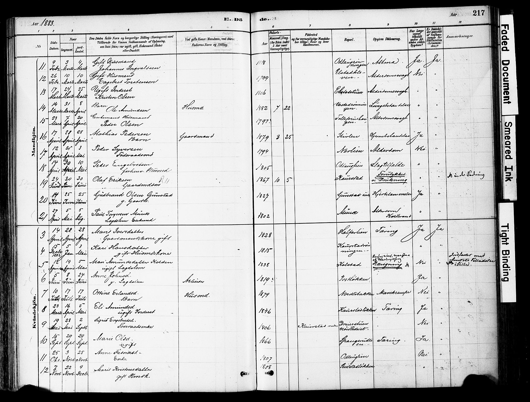 Ringebu prestekontor, AV/SAH-PREST-082/H/Ha/Haa/L0008: Parish register (official) no. 8, 1878-1898, p. 217