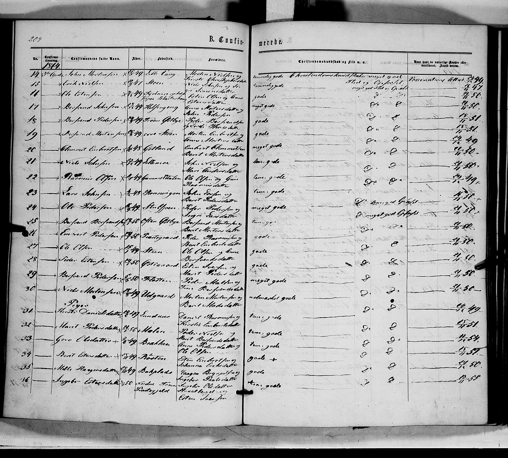 Tynset prestekontor, SAH/PREST-058/H/Ha/Haa/L0021: Parish register (official) no. 21, 1863-1879, p. 204