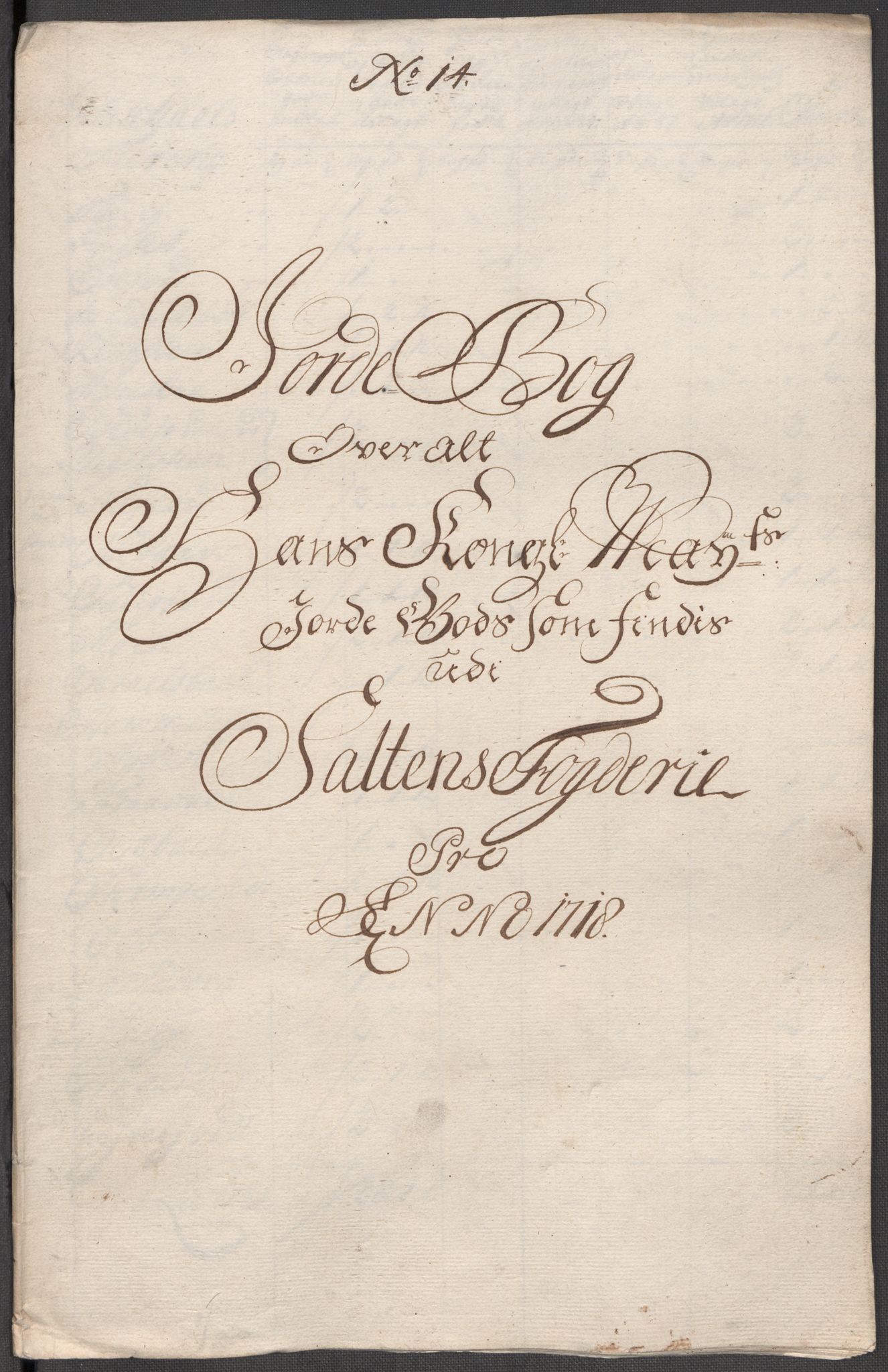 Rentekammeret inntil 1814, Reviderte regnskaper, Fogderegnskap, AV/RA-EA-4092/R66/L4588: Fogderegnskap Salten, 1718, p. 215