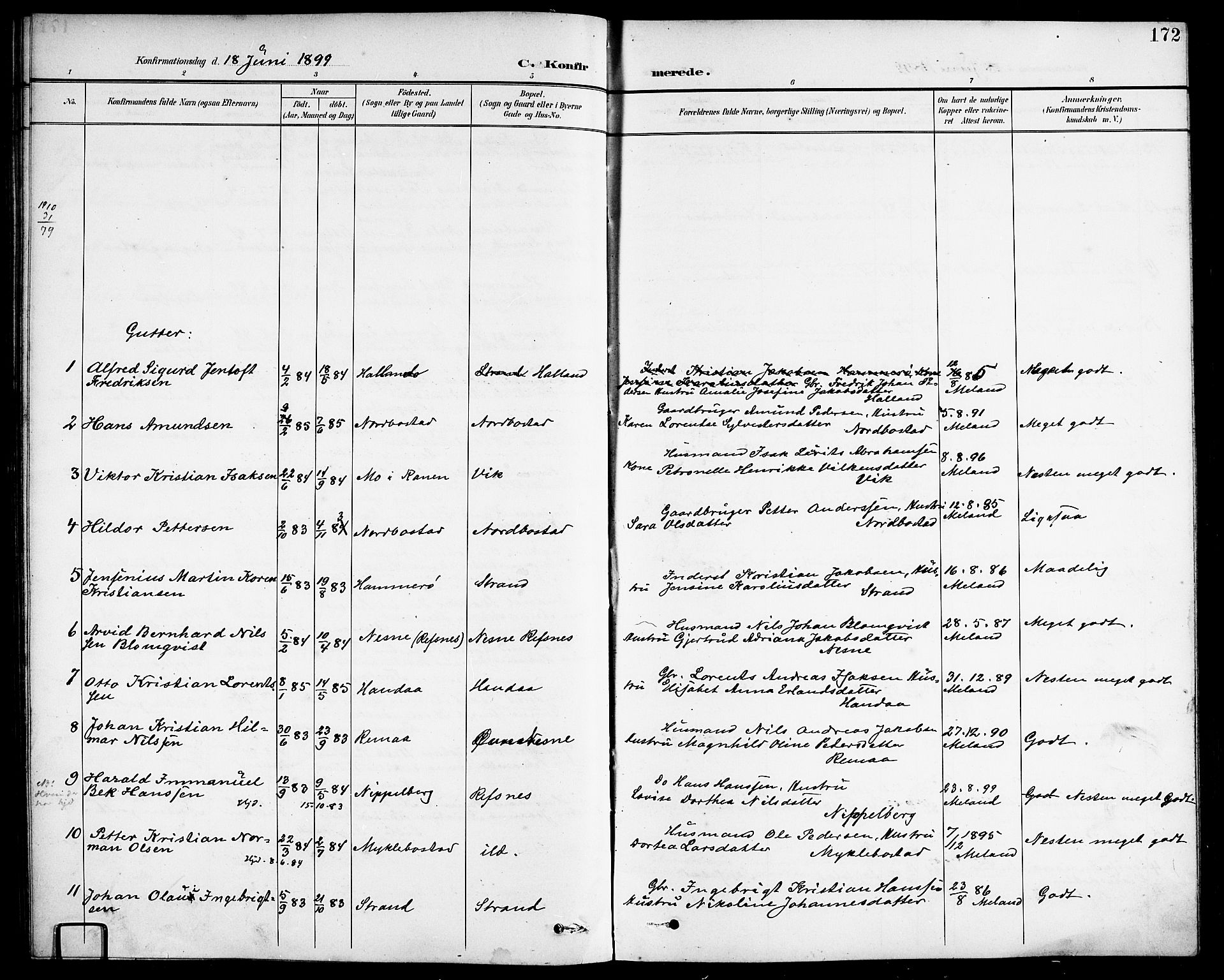 Ministerialprotokoller, klokkerbøker og fødselsregistre - Nordland, SAT/A-1459/838/L0559: Parish register (copy) no. 838C06, 1893-1910, p. 172
