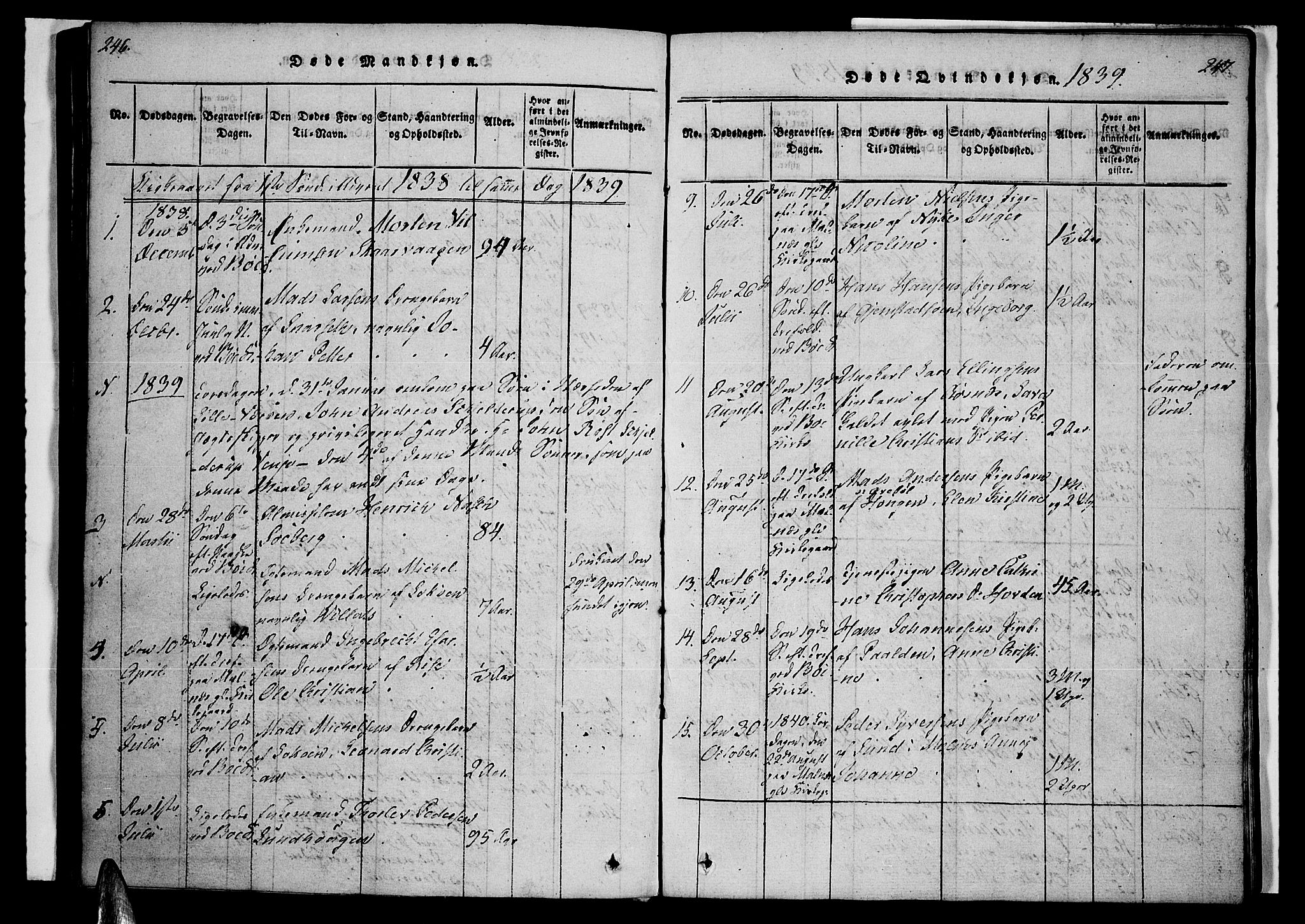 Ministerialprotokoller, klokkerbøker og fødselsregistre - Nordland, AV/SAT-A-1459/891/L1298: Parish register (official) no. 891A03, 1820-1840, p. 246-247