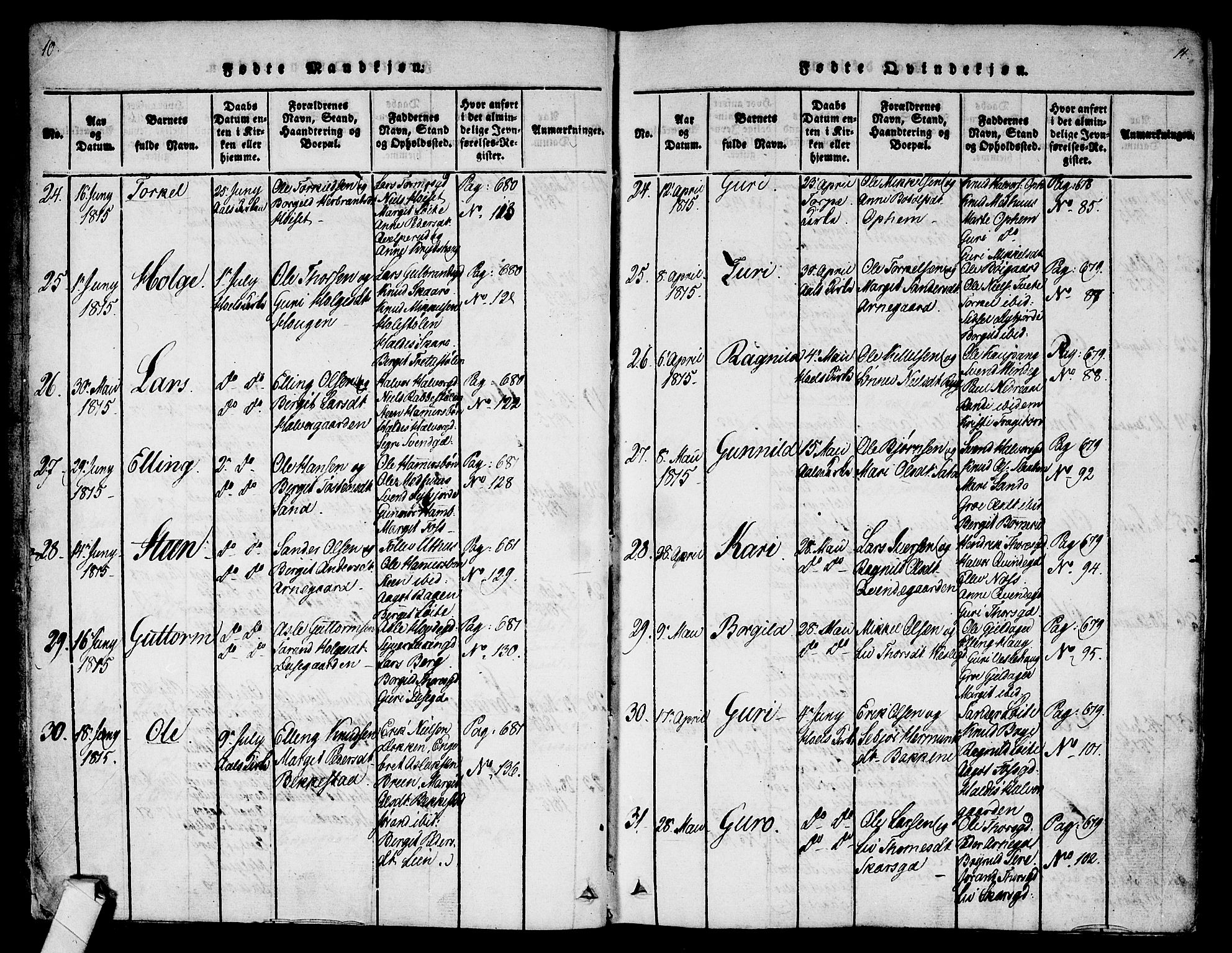 Ål kirkebøker, AV/SAKO-A-249/F/Fa/L0004: Parish register (official) no. I 4, 1815-1825, p. 10-11