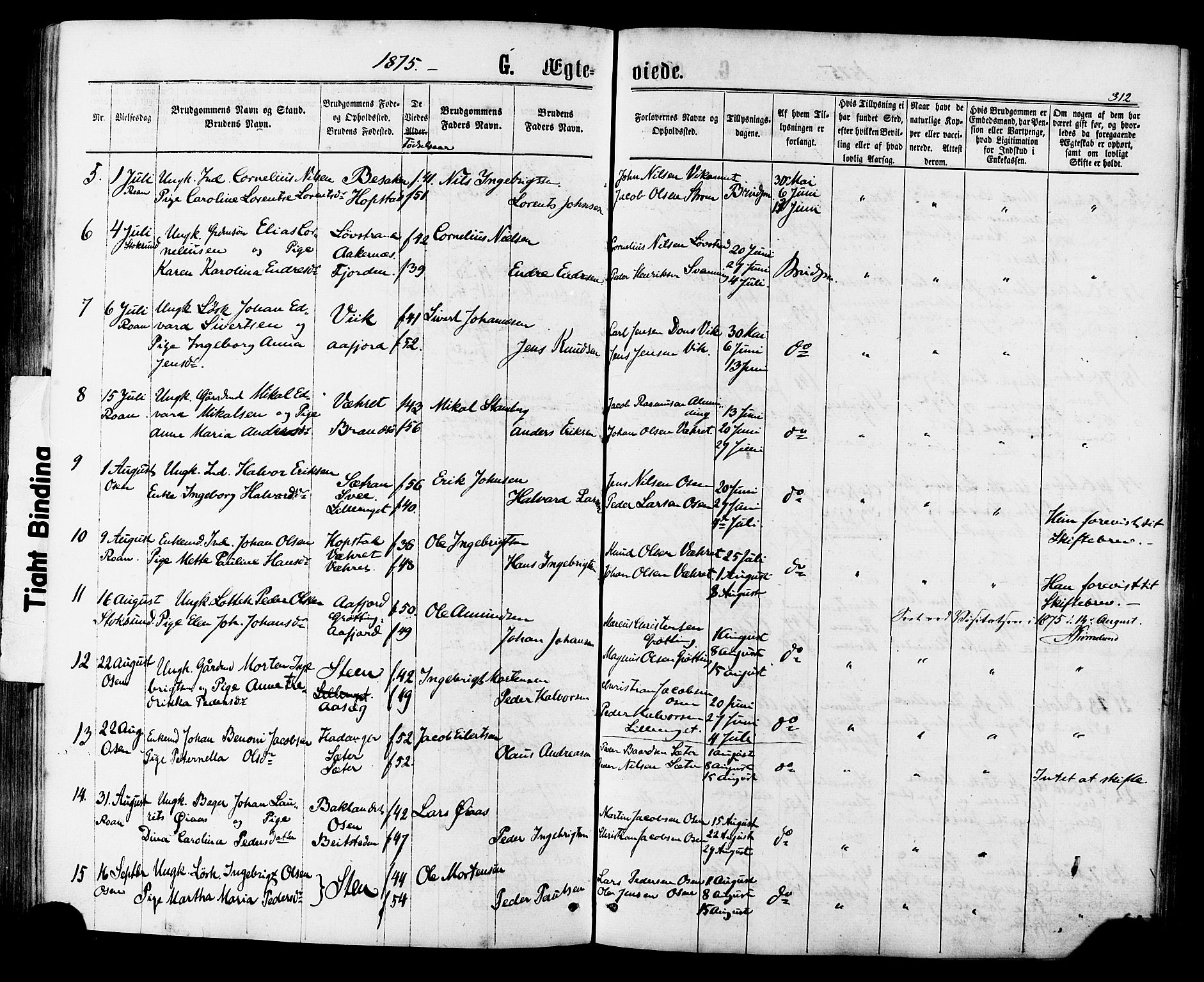 Ministerialprotokoller, klokkerbøker og fødselsregistre - Sør-Trøndelag, SAT/A-1456/657/L0706: Parish register (official) no. 657A07, 1867-1878, p. 312