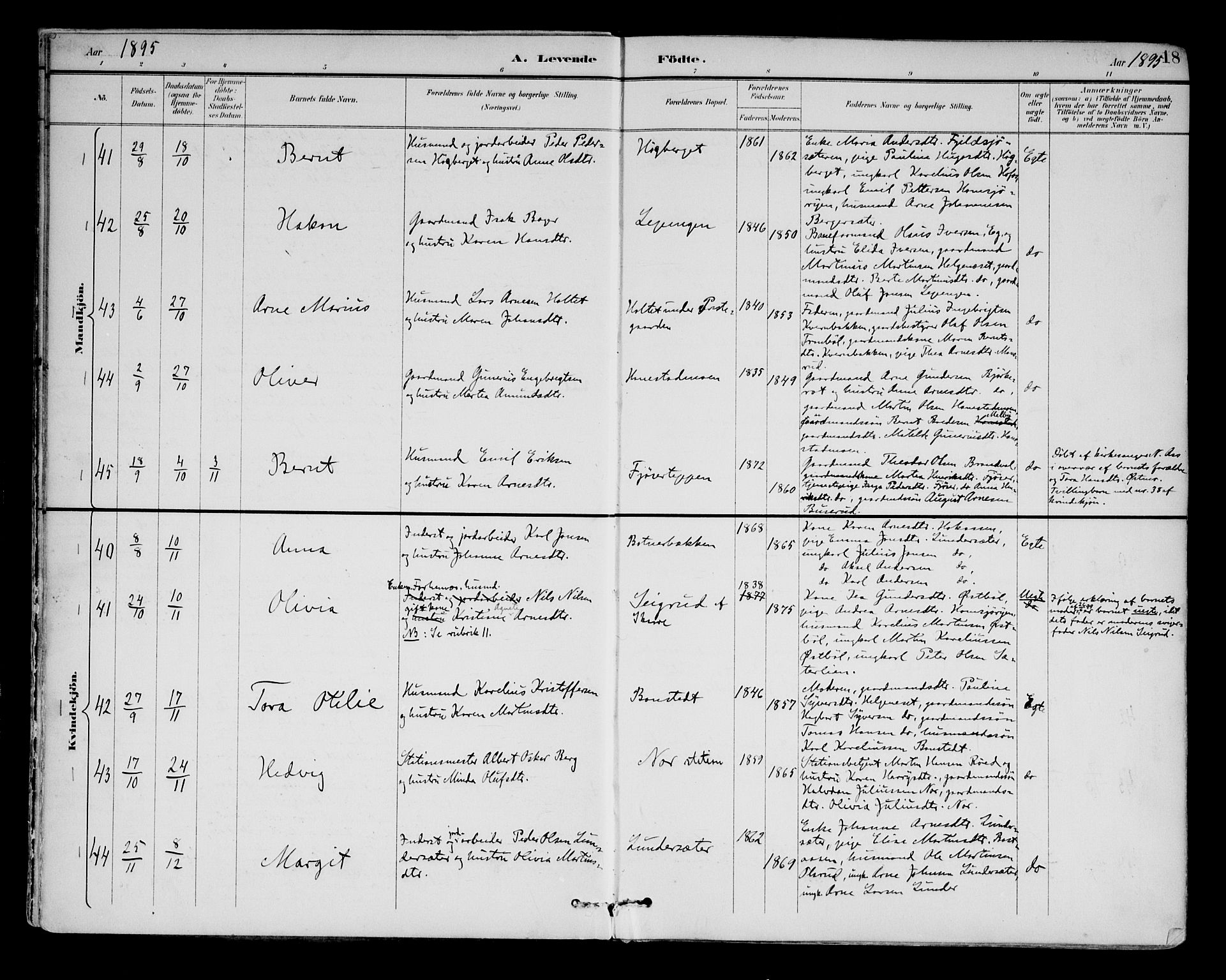 Brandval prestekontor, AV/SAH-PREST-034/H/Ha/Haa/L0003: Parish register (official) no. 3, 1894-1909, p. 18