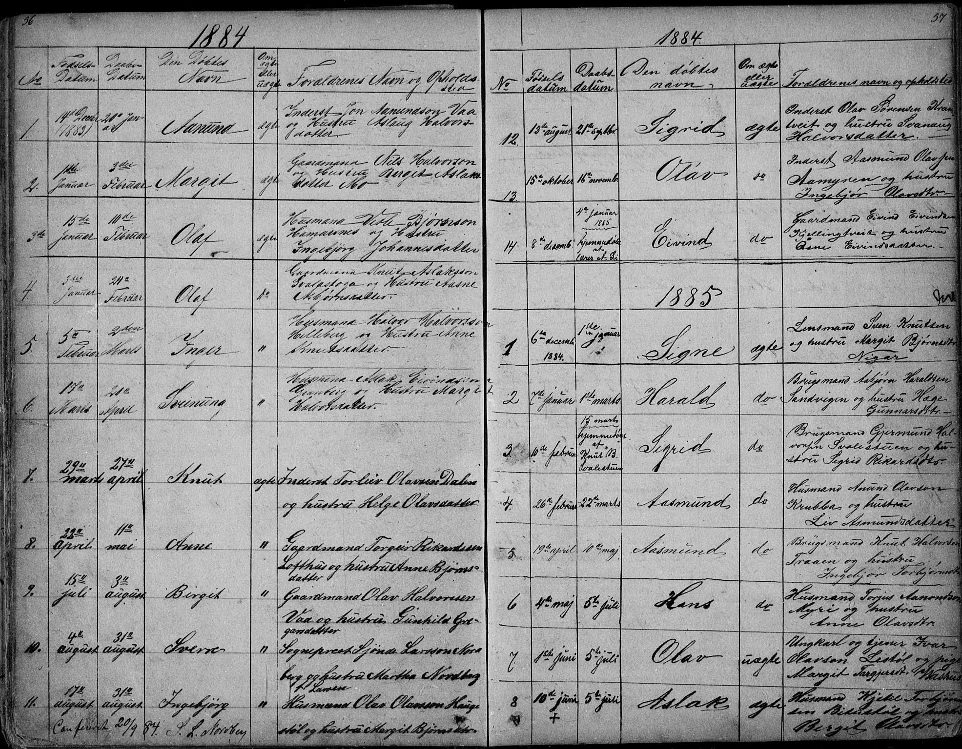 Rauland kirkebøker, SAKO/A-292/G/Ga/L0002: Parish register (copy) no. I 2, 1849-1935, p. 56-57