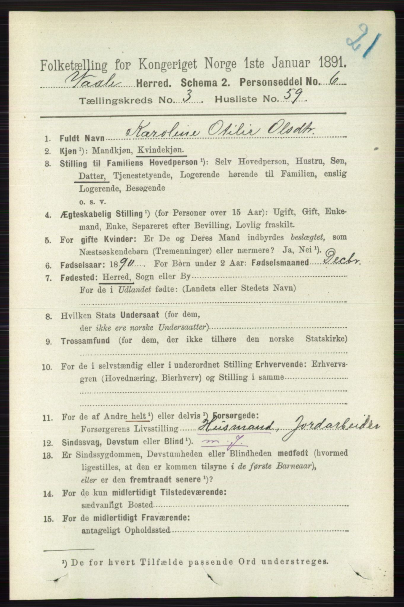 RA, 1891 census for 0716 Våle, 1891, p. 897