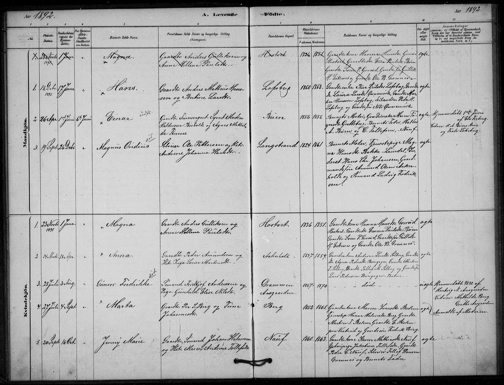 Hof kirkebøker, AV/SAKO-A-64/G/Gb/L0002: Parish register (copy) no. II 2, 1878-1902