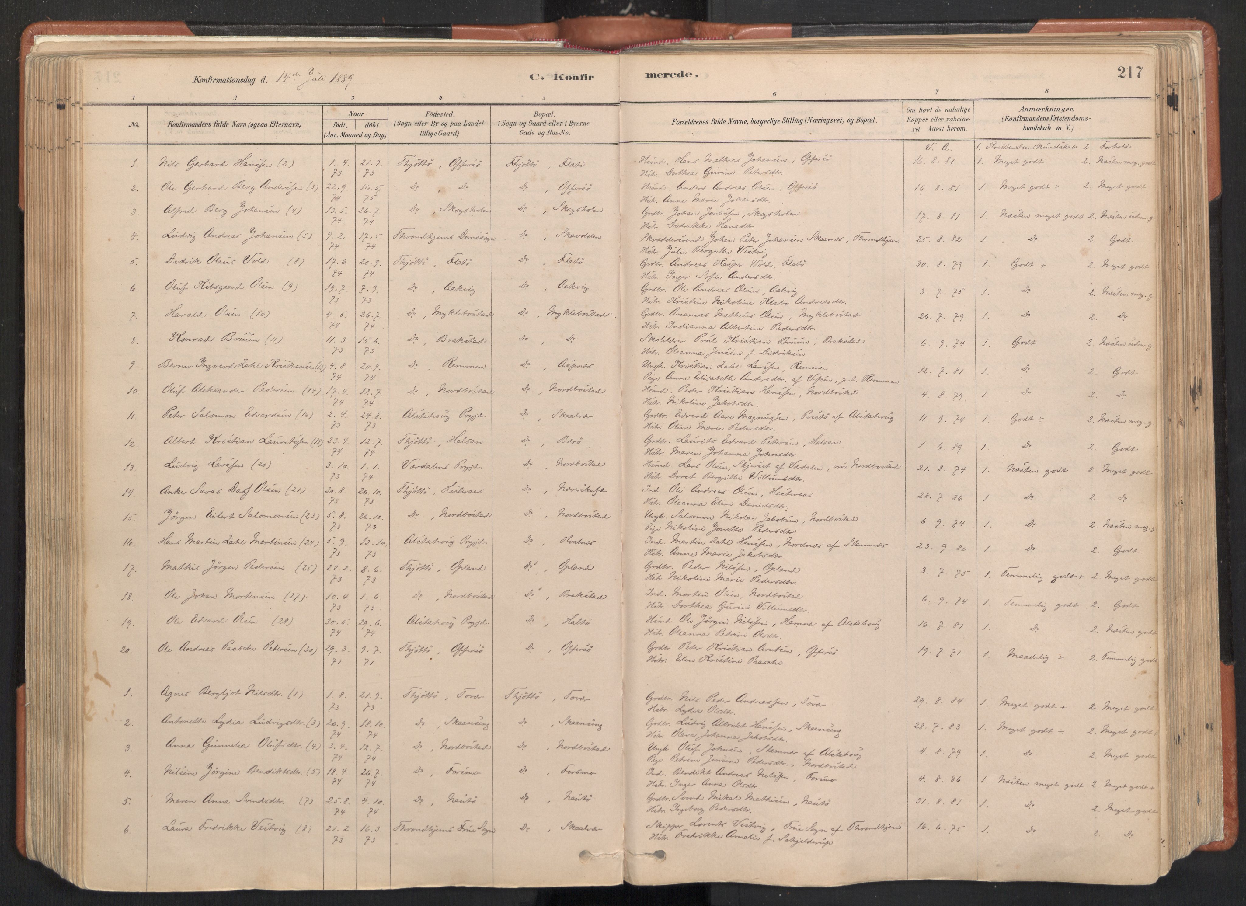 Ministerialprotokoller, klokkerbøker og fødselsregistre - Nordland, AV/SAT-A-1459/817/L0264: Parish register (official) no. 817A04, 1878-1907, p. 217