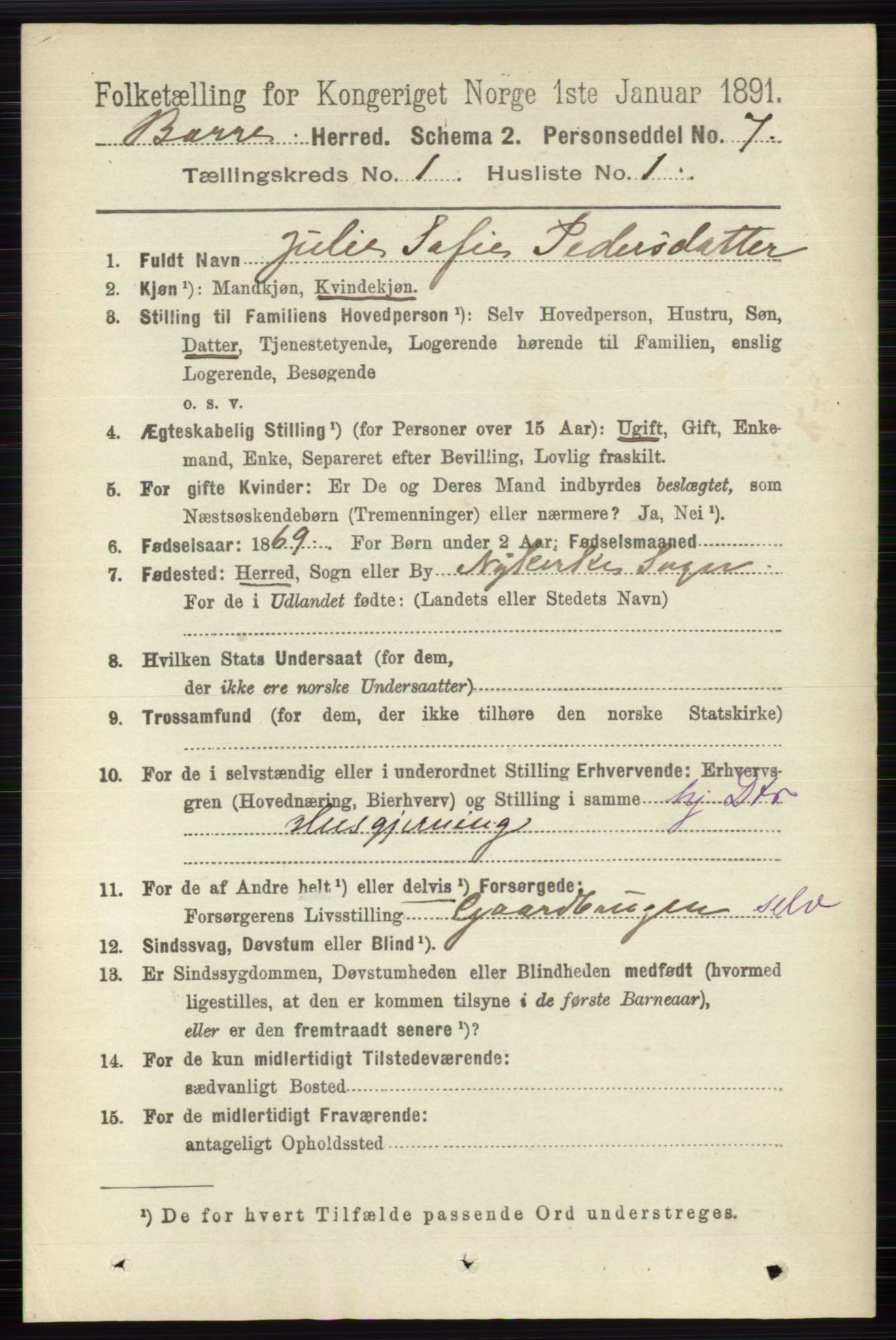 RA, 1891 census for 0717 Borre, 1891, p. 145