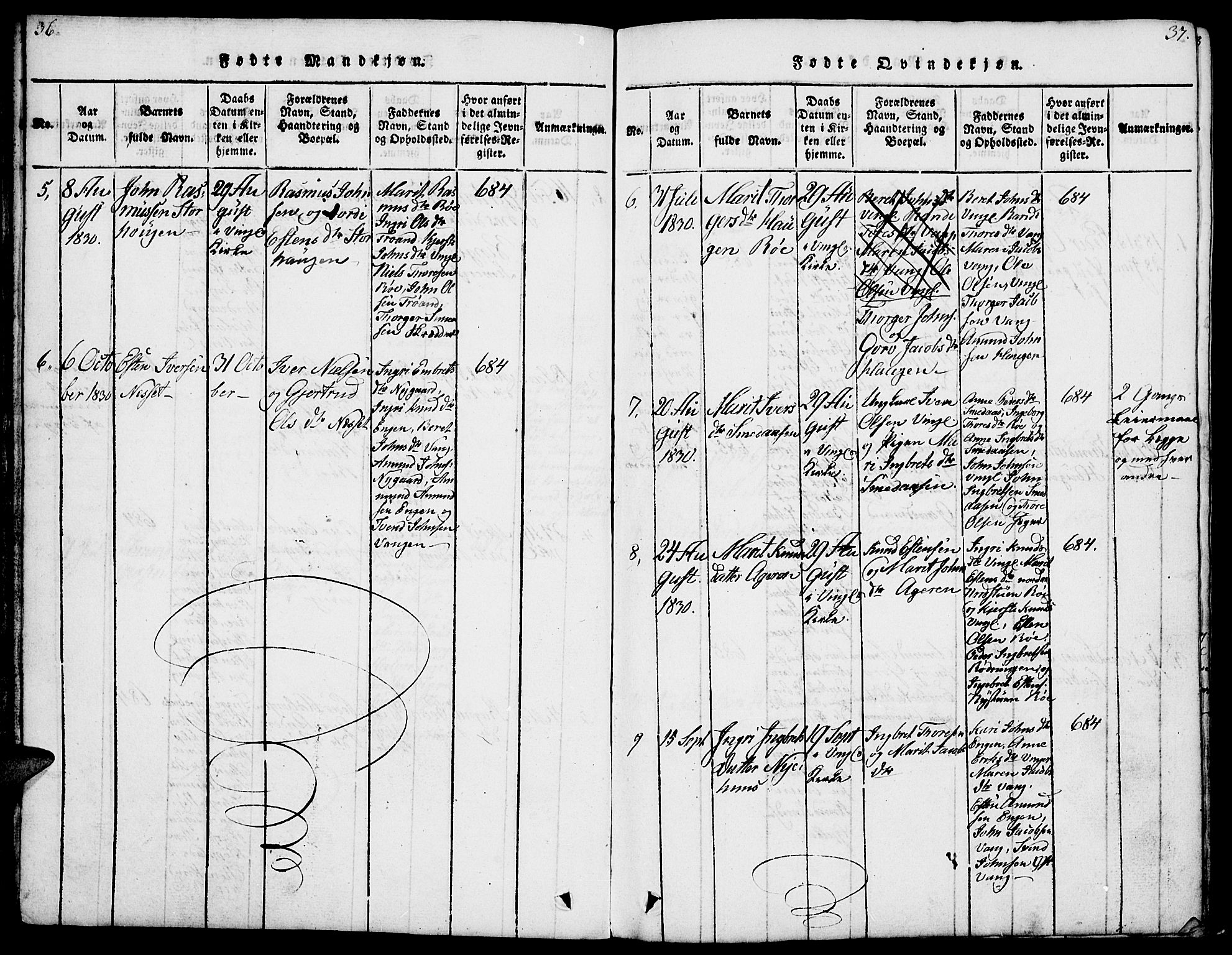 Tolga prestekontor, SAH/PREST-062/L/L0003: Parish register (copy) no. 3, 1815-1862, p. 36-37