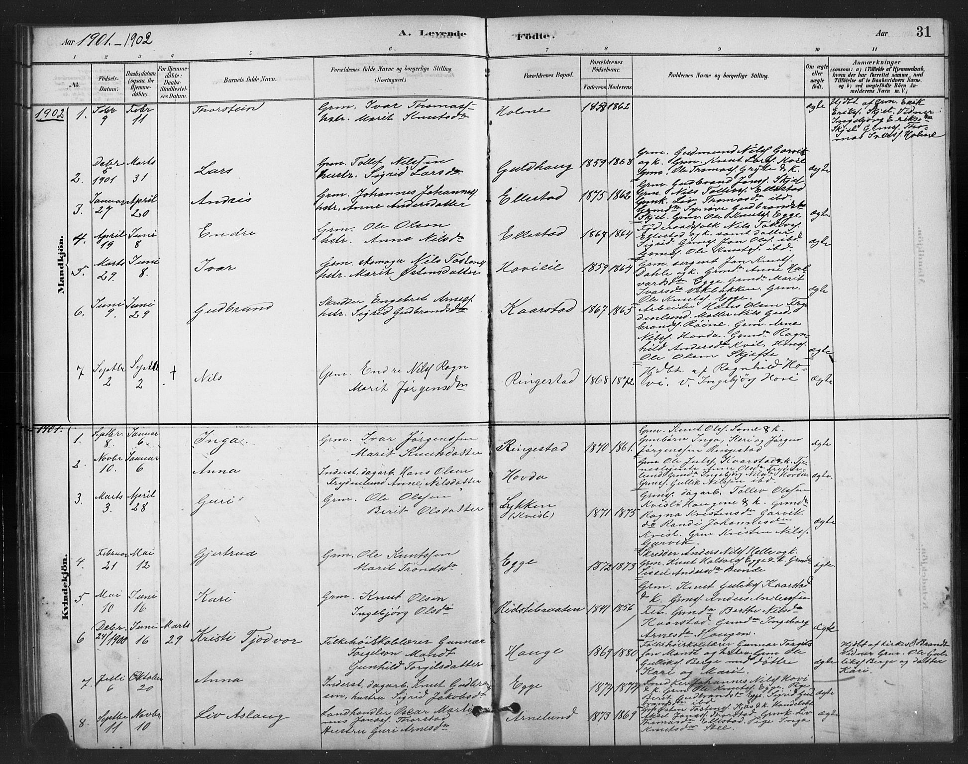 Vestre Slidre prestekontor, SAH/PREST-136/H/Ha/Hab/L0006: Parish register (copy) no. 6, 1881-1915, p. 31