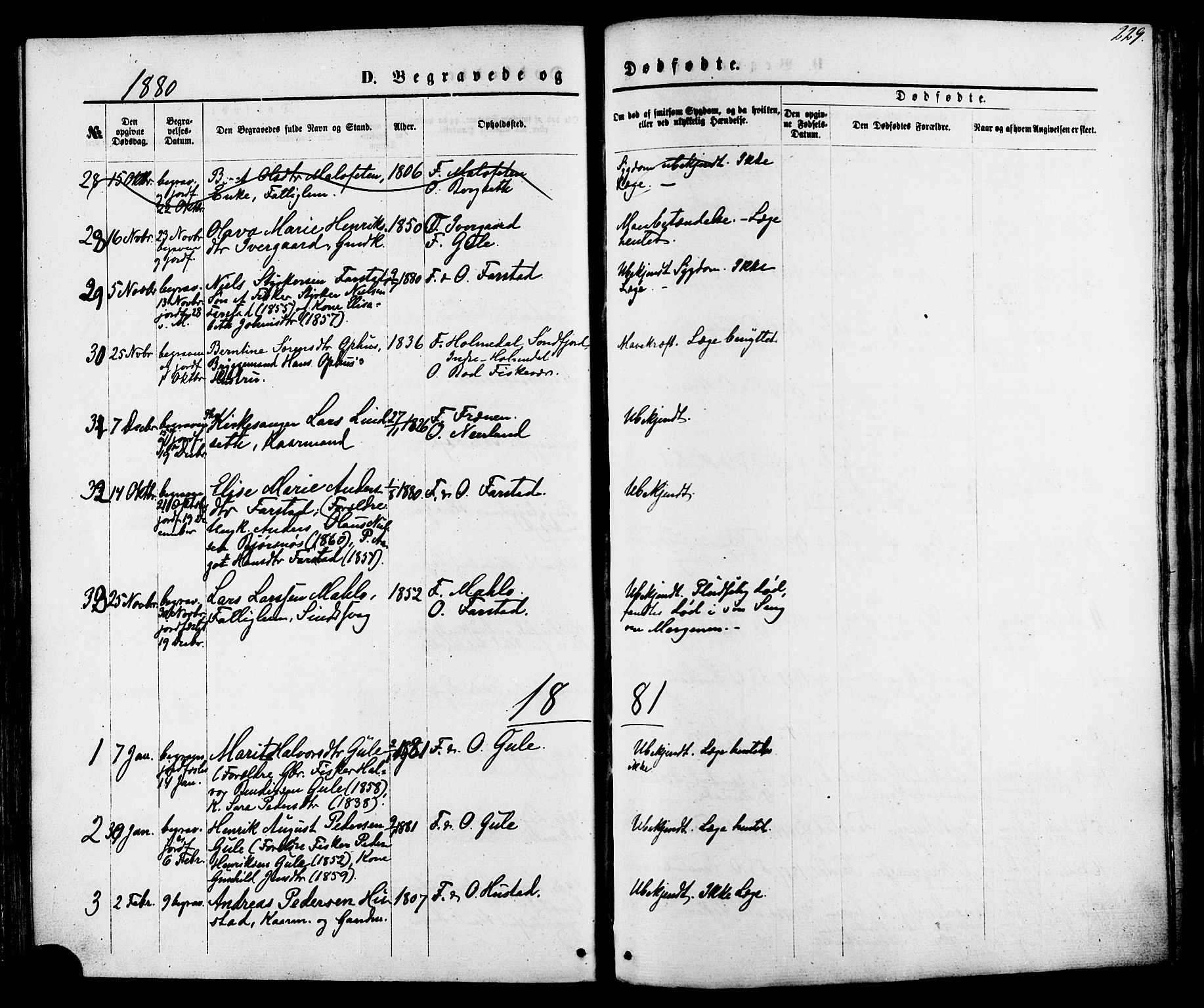 Ministerialprotokoller, klokkerbøker og fødselsregistre - Møre og Romsdal, AV/SAT-A-1454/566/L0768: Parish register (official) no. 566A07, 1869-1881, p. 229