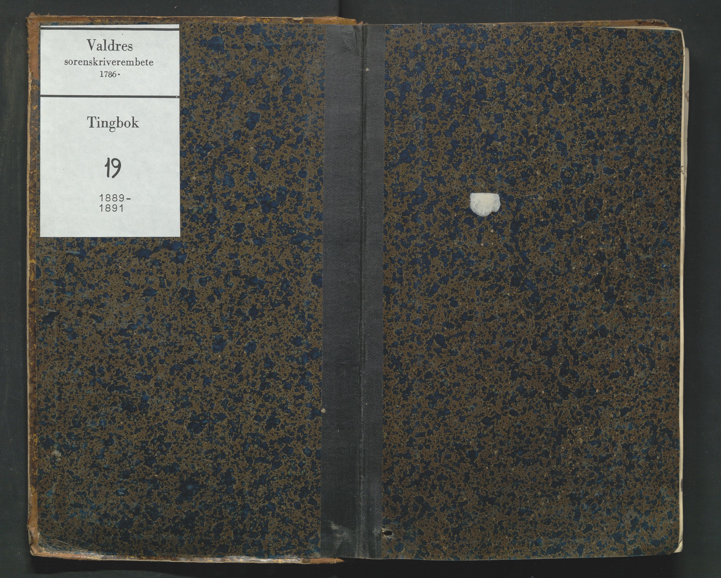 Valdres sorenskriveri, SAH/TING-016/G/Gb/L0019: Tingbok, 1889-1891