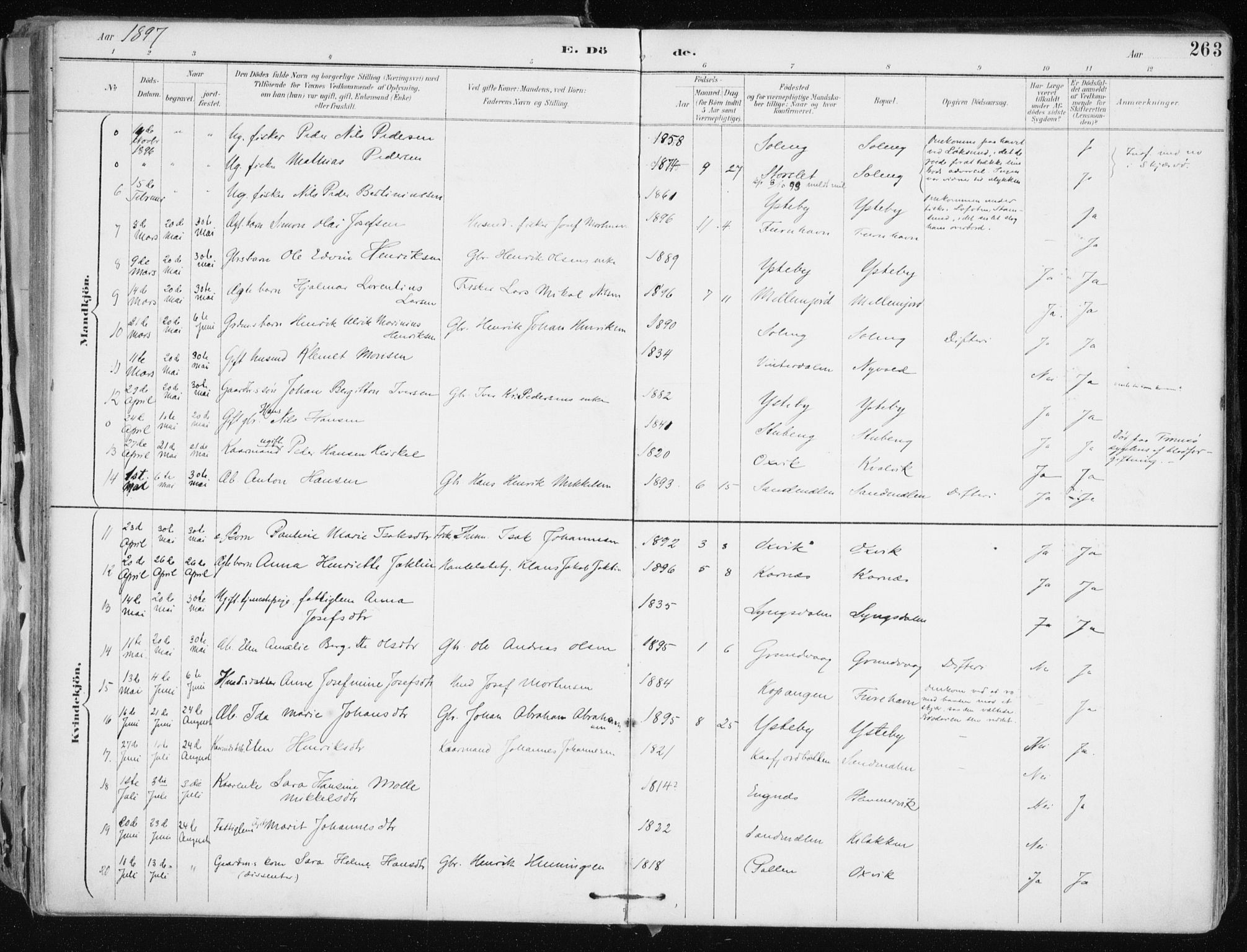 Lyngen sokneprestembete, AV/SATØ-S-1289/H/He/Hea/L0008kirke: Parish register (official) no. 8, 1891-1902, p. 263