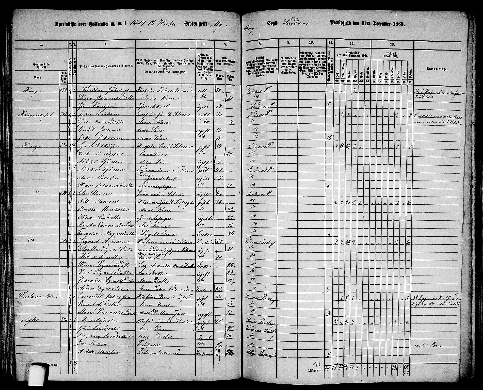 RA, 1865 census for Lindås, 1865, p. 125