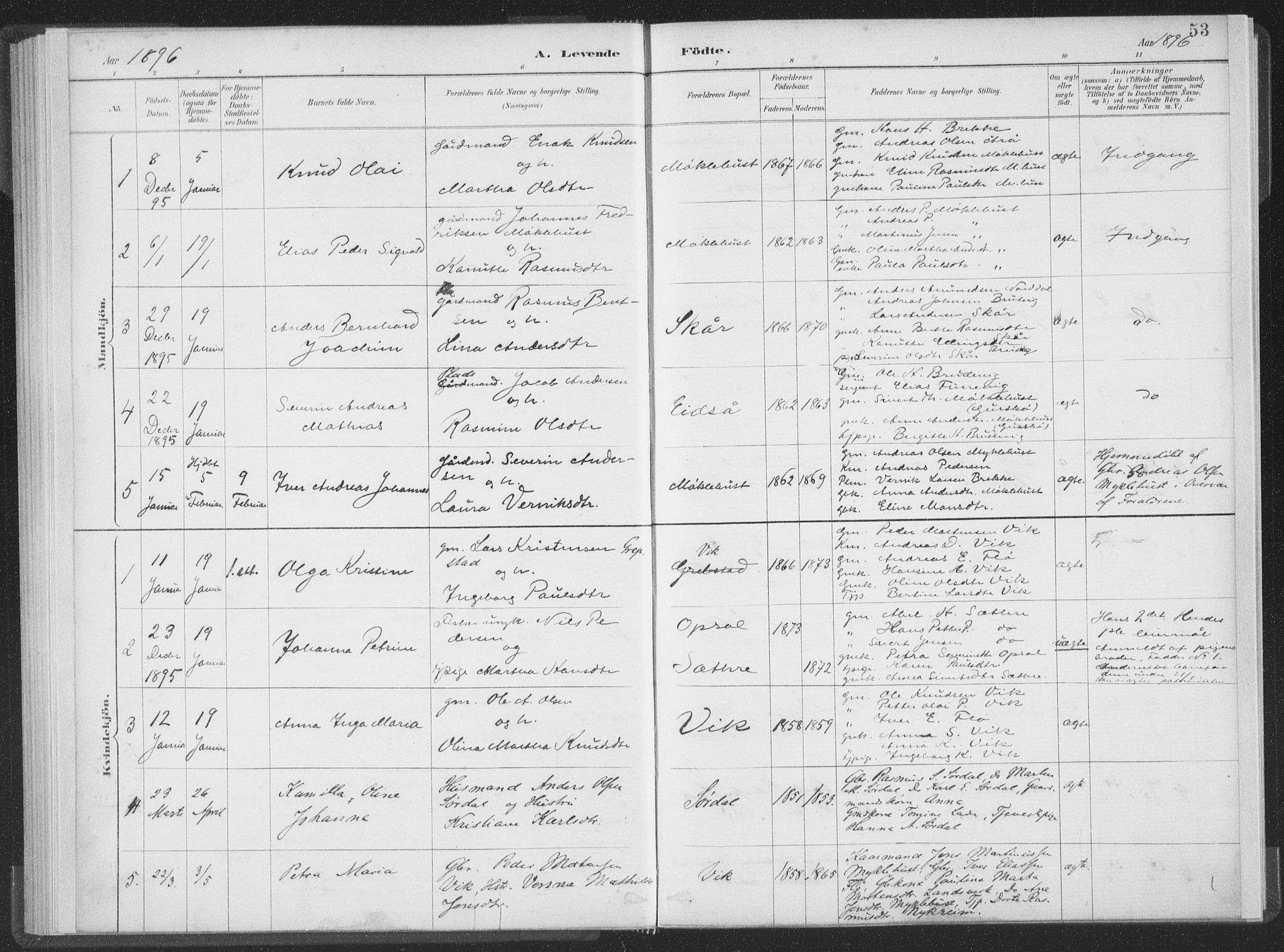 Ministerialprotokoller, klokkerbøker og fødselsregistre - Møre og Romsdal, AV/SAT-A-1454/502/L0025: Parish register (official) no. 502A03, 1885-1909, p. 53