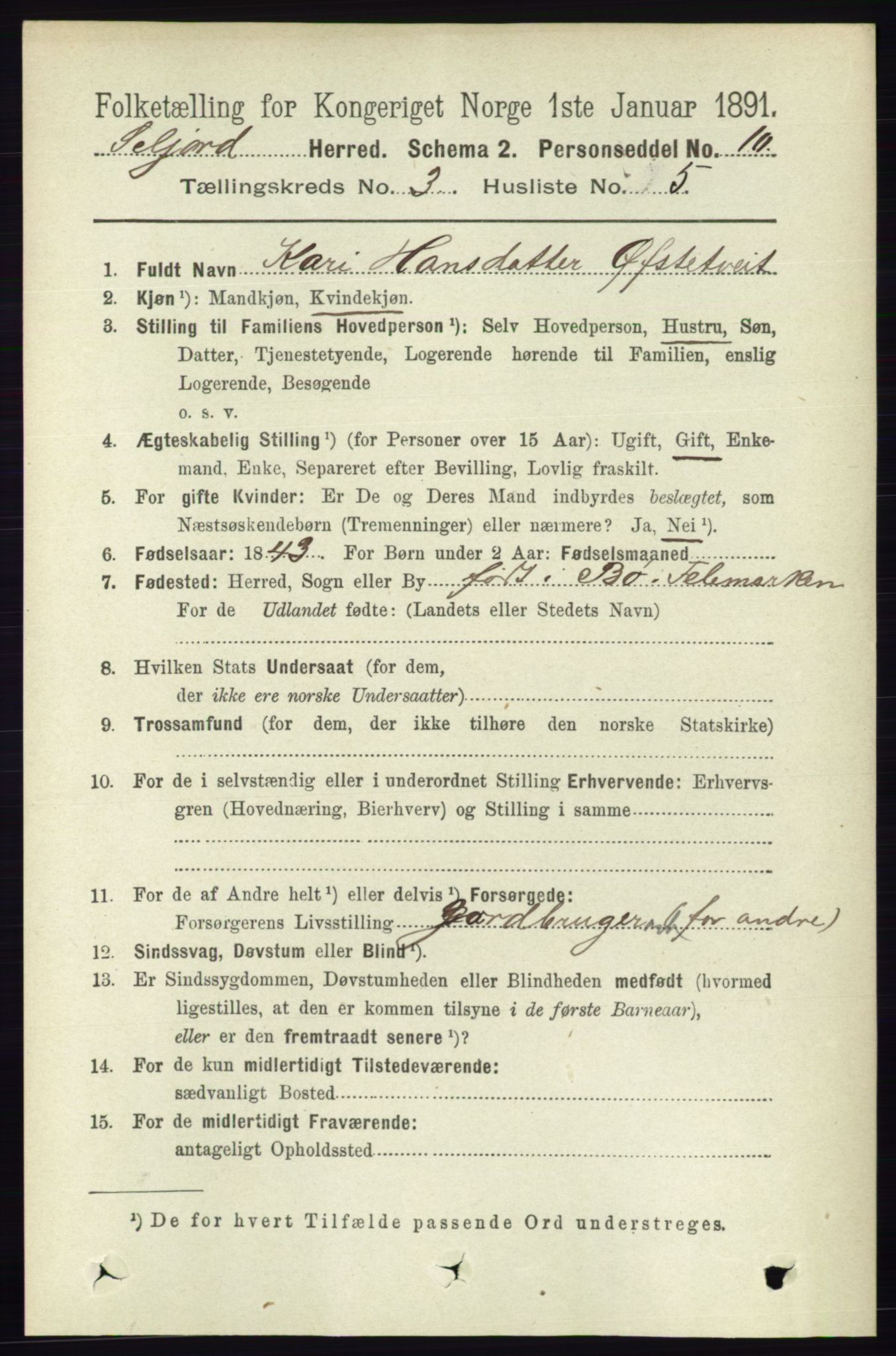 RA, 1891 census for 0828 Seljord, 1891, p. 1007