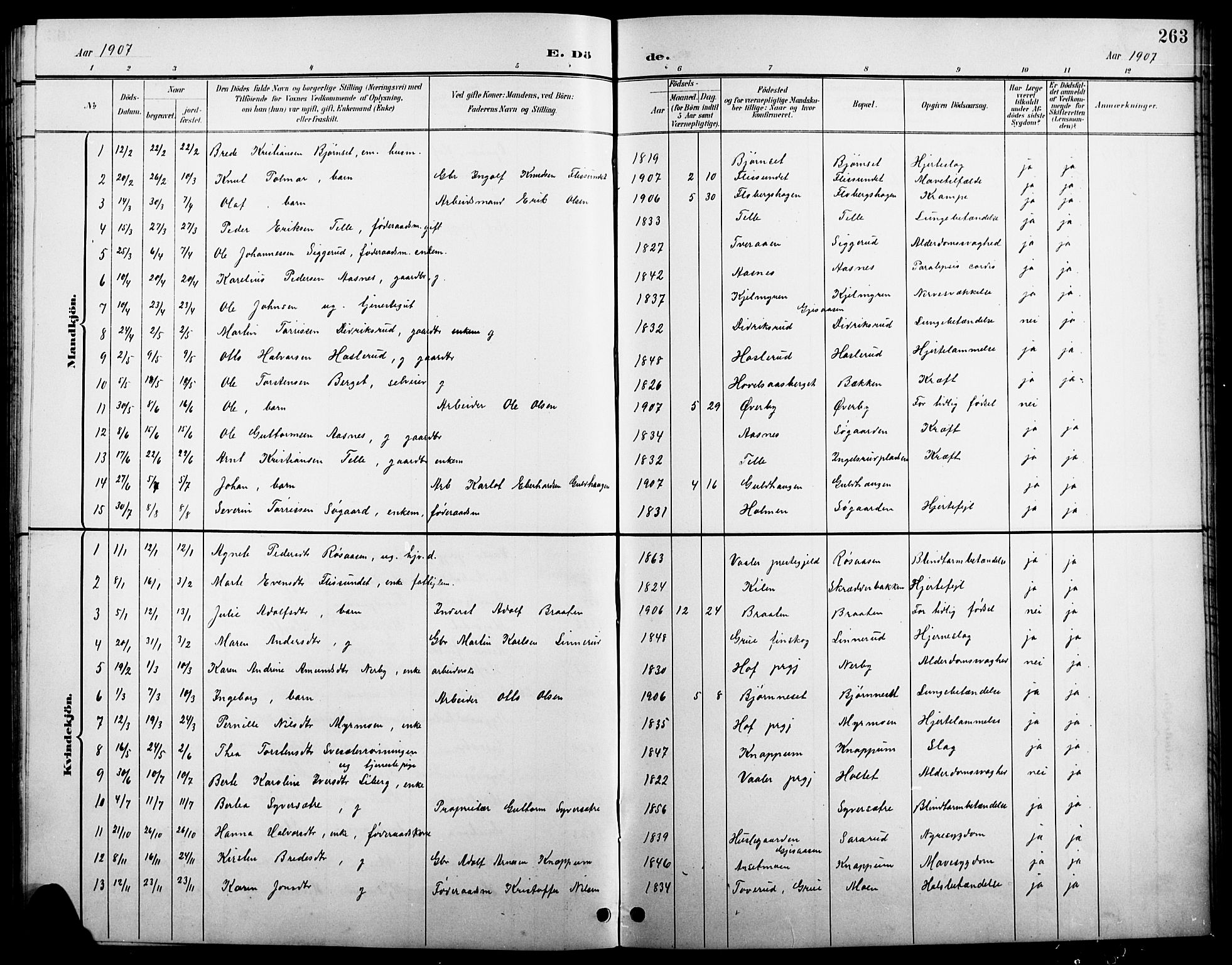 Åsnes prestekontor, AV/SAH-PREST-042/H/Ha/Hab/L0004: Parish register (copy) no. 4, 1895-1909, p. 263