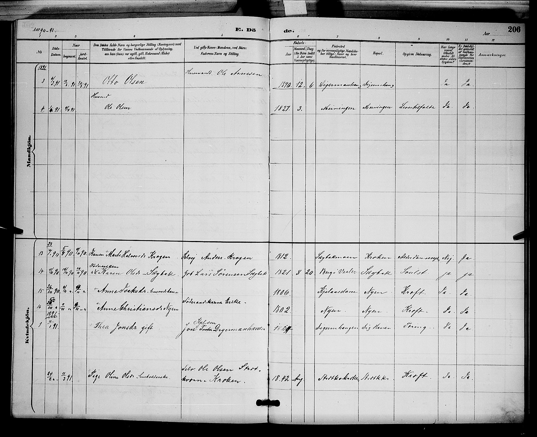 Åsnes prestekontor, AV/SAH-PREST-042/H/Ha/Hab/L0002: Parish register (copy) no. 2, 1890-1891, p. 206