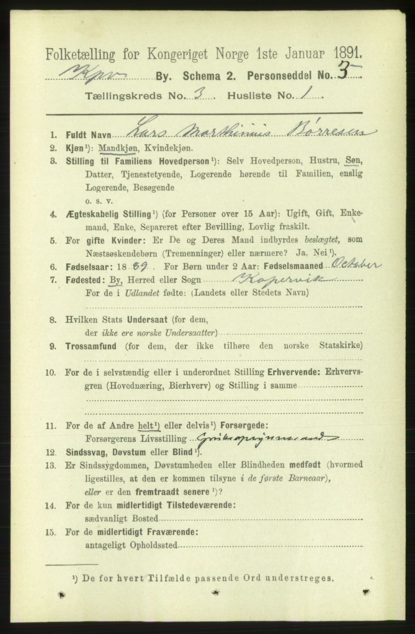 RA, 1891 census for 1105 Kopervik, 1891, p. 245