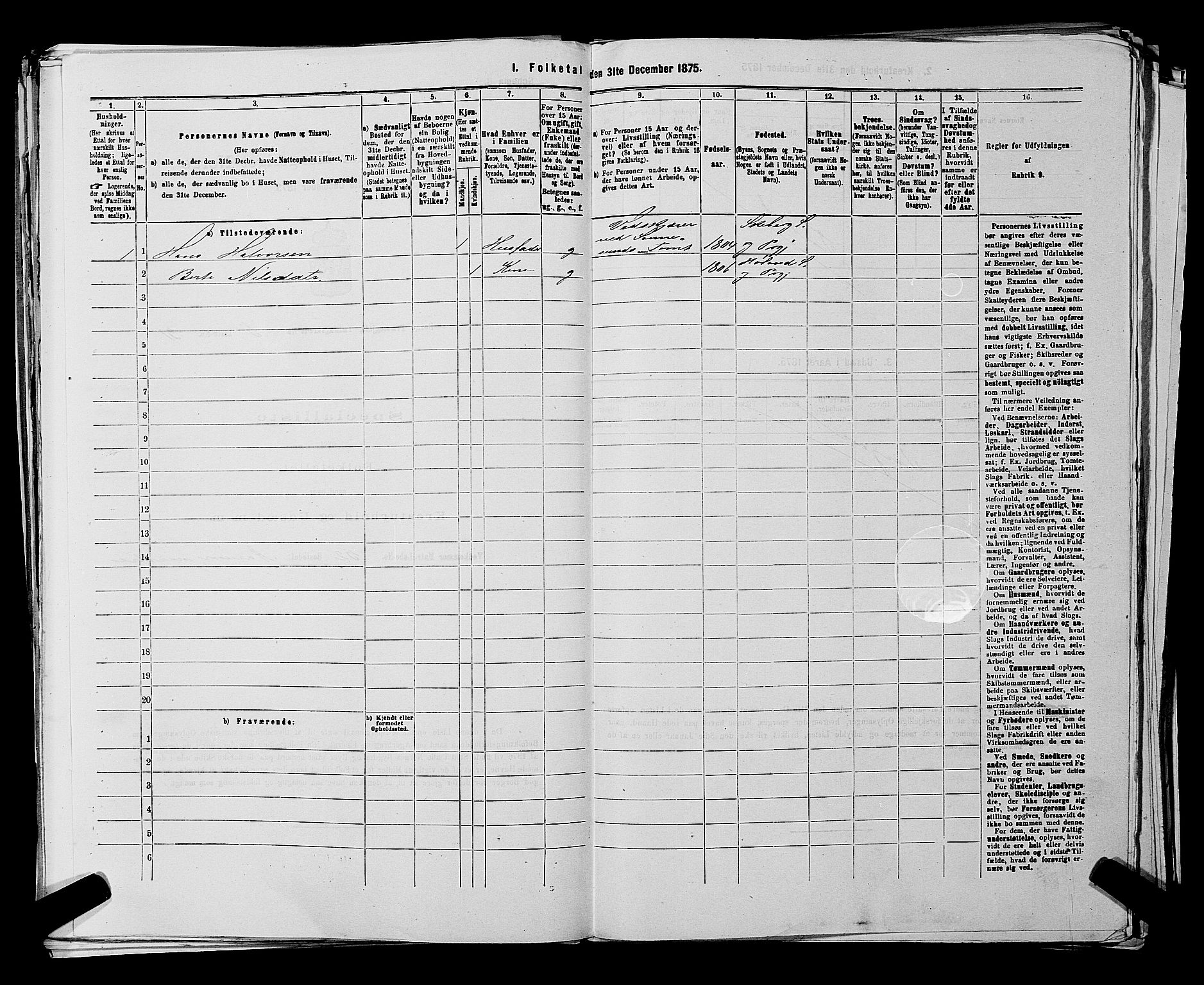 RA, 1875 census for 0113P Borge, 1875, p. 802
