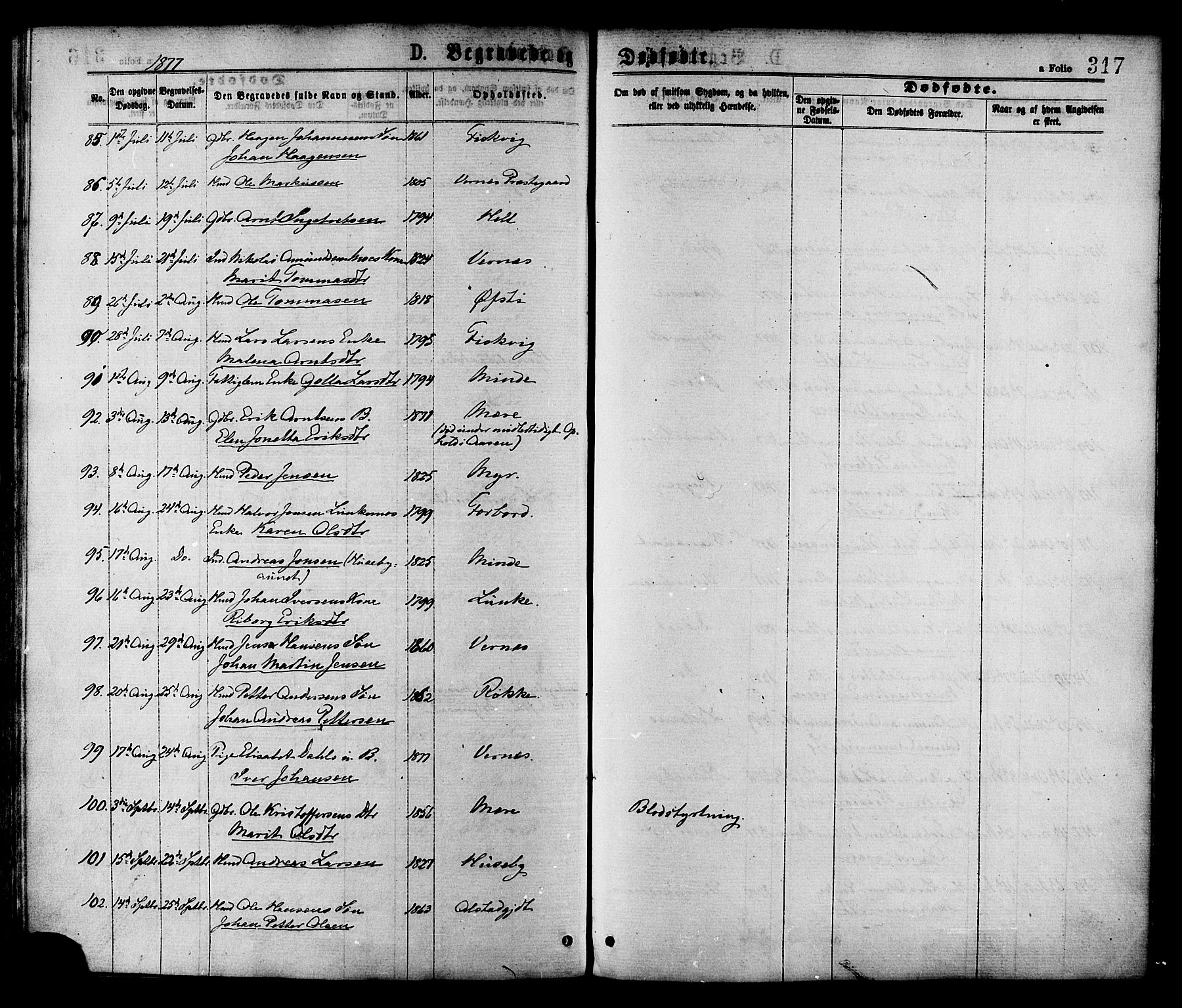 Ministerialprotokoller, klokkerbøker og fødselsregistre - Nord-Trøndelag, AV/SAT-A-1458/709/L0076: Parish register (official) no. 709A16, 1871-1879, p. 317