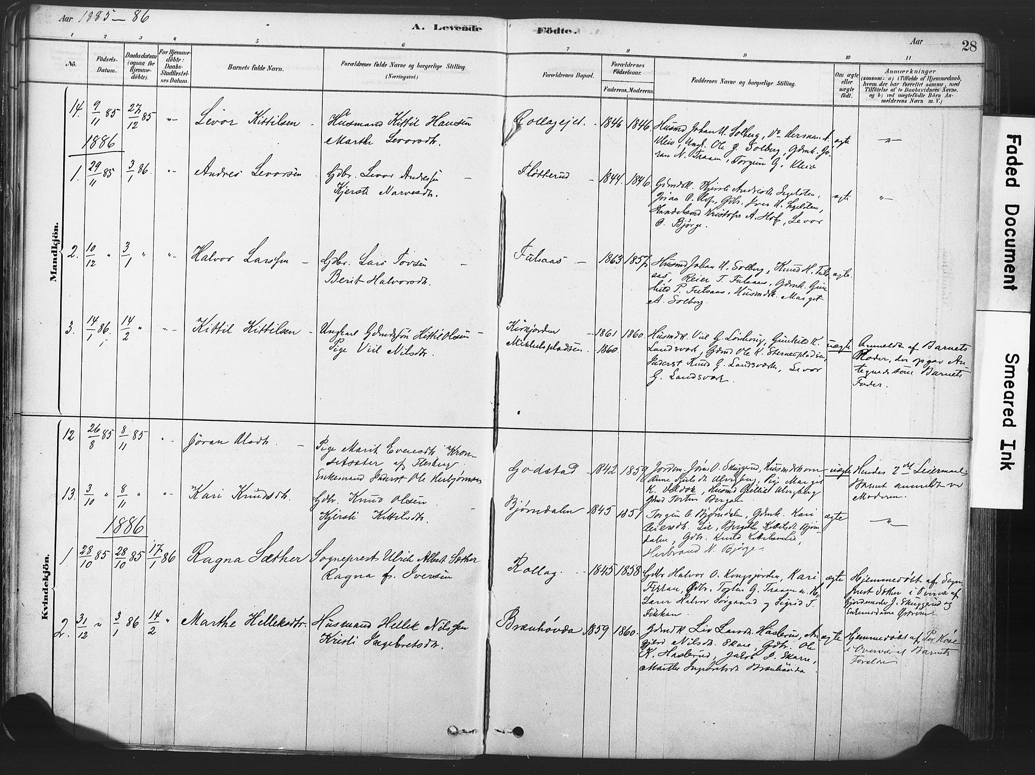 Rollag kirkebøker, SAKO/A-240/F/Fa/L0011: Parish register (official) no. I 11, 1878-1902, p. 28