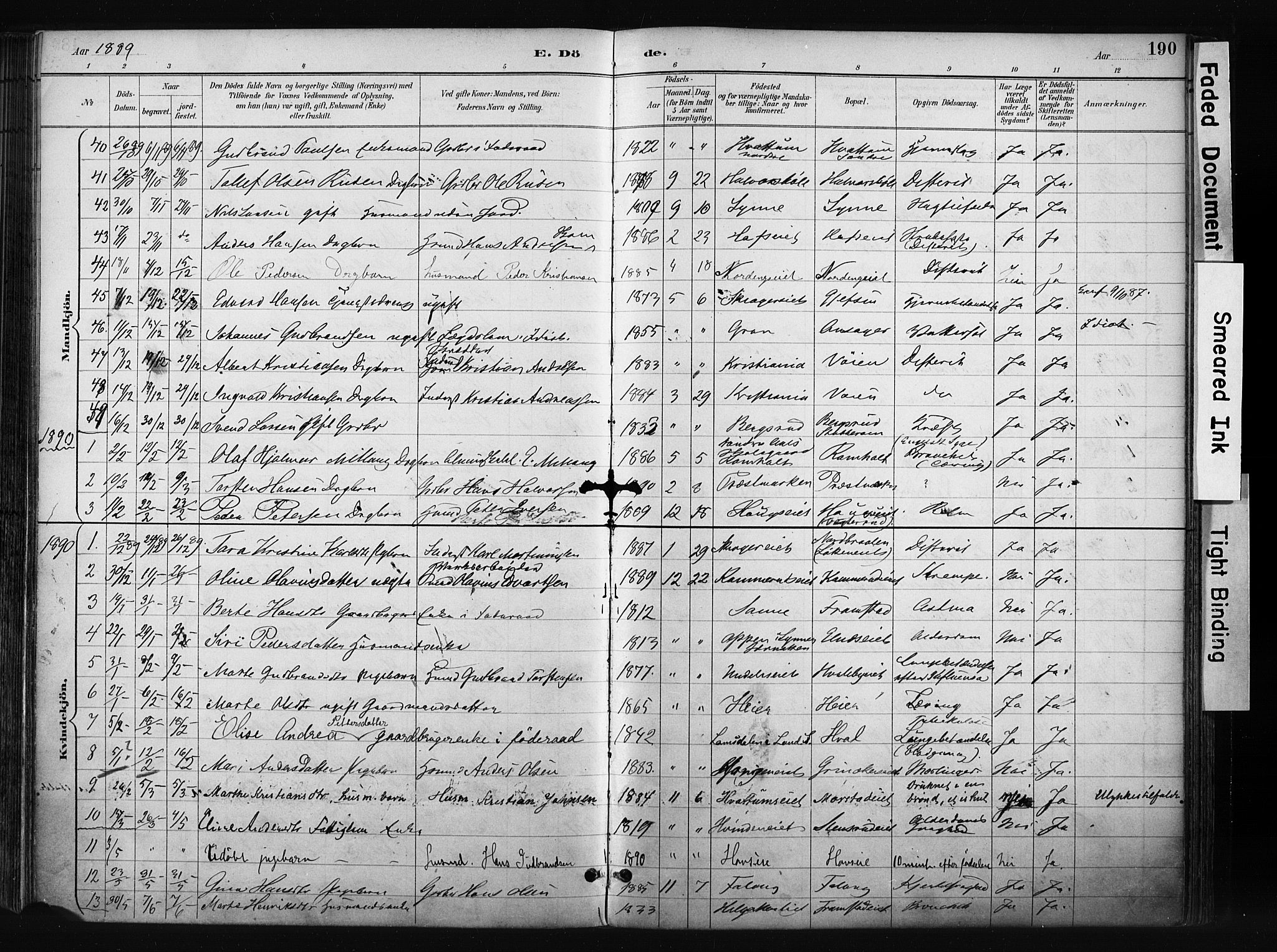 Gran prestekontor, SAH/PREST-112/H/Ha/Haa/L0017: Parish register (official) no. 17, 1889-1897, p. 190