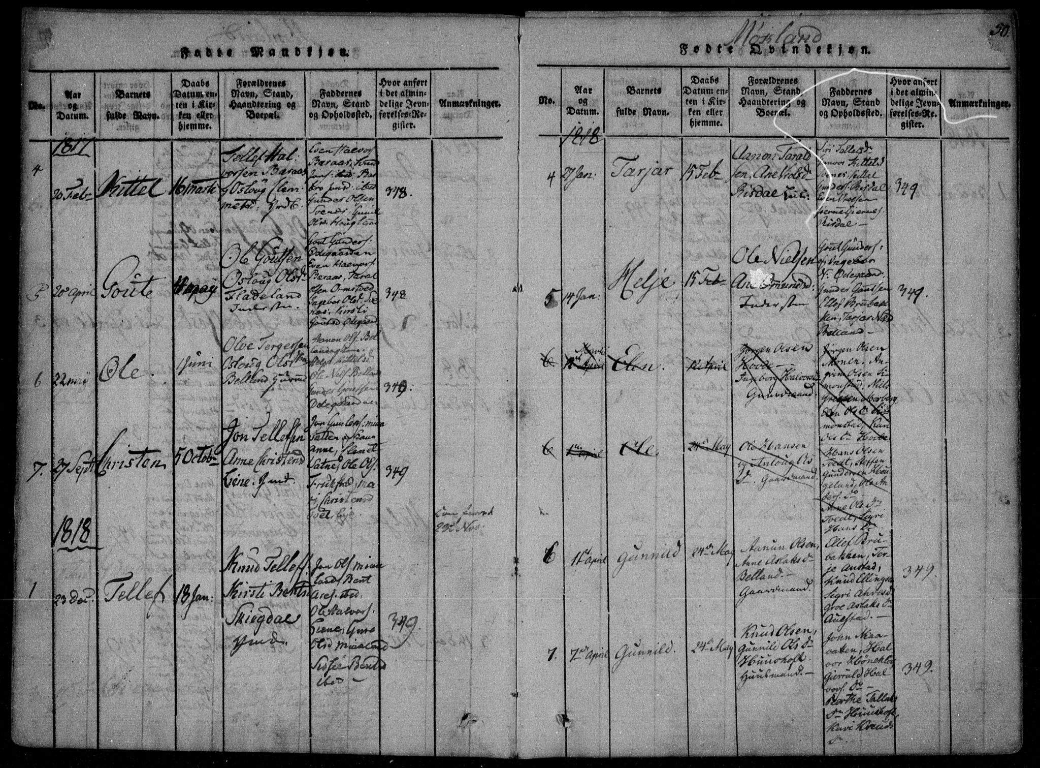 Åmli sokneprestkontor, AV/SAK-1111-0050/F/Fa/Fac/L0006: Parish register (official) no. A 6, 1816-1829, p. 50