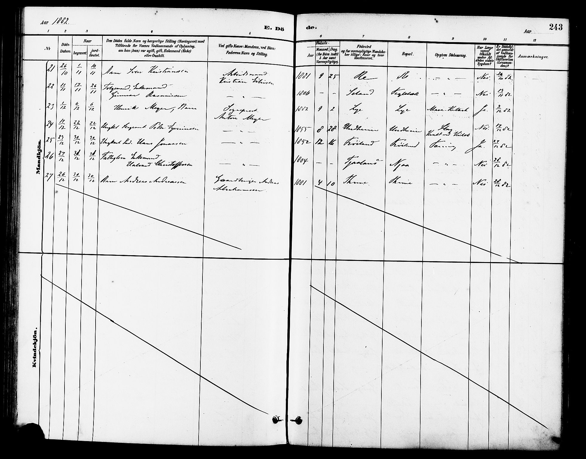 Lye sokneprestkontor, AV/SAST-A-101794/001/30BA/L0009: Parish register (official) no. A 8, 1881-1892, p. 243