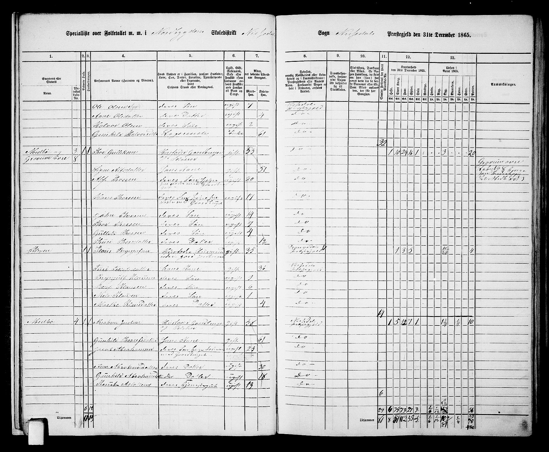 RA, 1865 census for Nissedal, 1865, p. 13