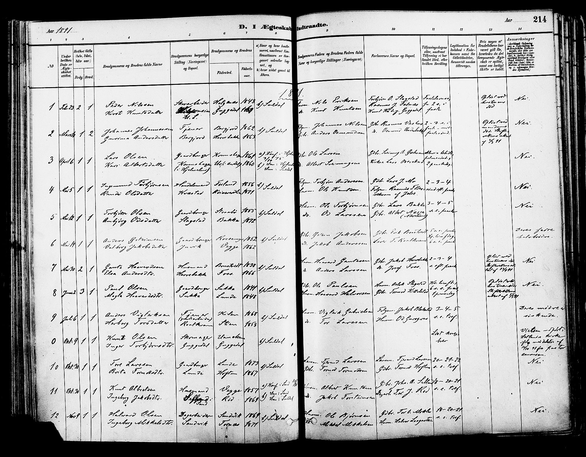 Suldal sokneprestkontor, AV/SAST-A-101845/01/IV/L0011: Parish register (official) no. A 11, 1878-1900, p. 214