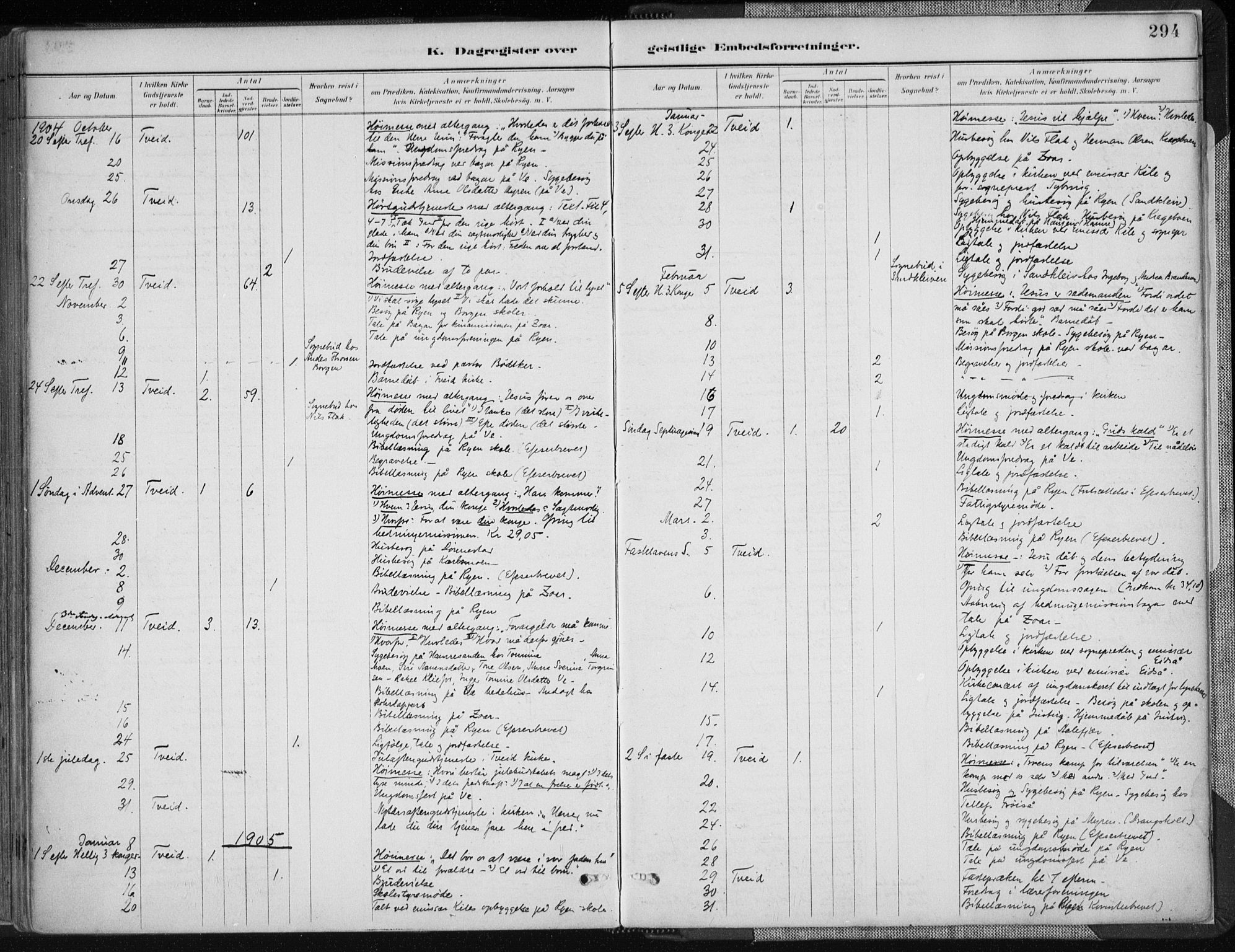 Tveit sokneprestkontor, AV/SAK-1111-0043/F/Fa/L0007: Parish register (official) no. A 7, 1887-1908, p. 294