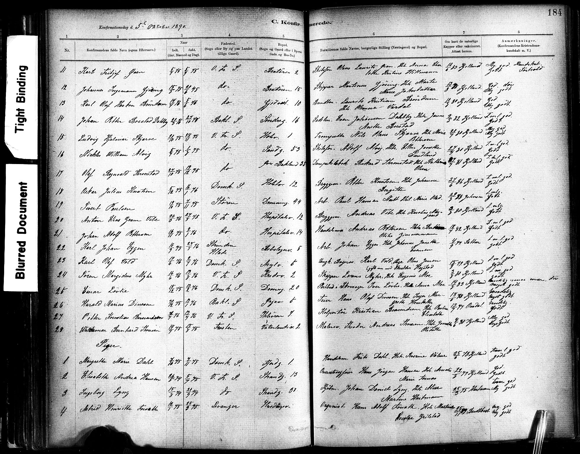 Ministerialprotokoller, klokkerbøker og fødselsregistre - Sør-Trøndelag, SAT/A-1456/602/L0119: Parish register (official) no. 602A17, 1880-1901, p. 184
