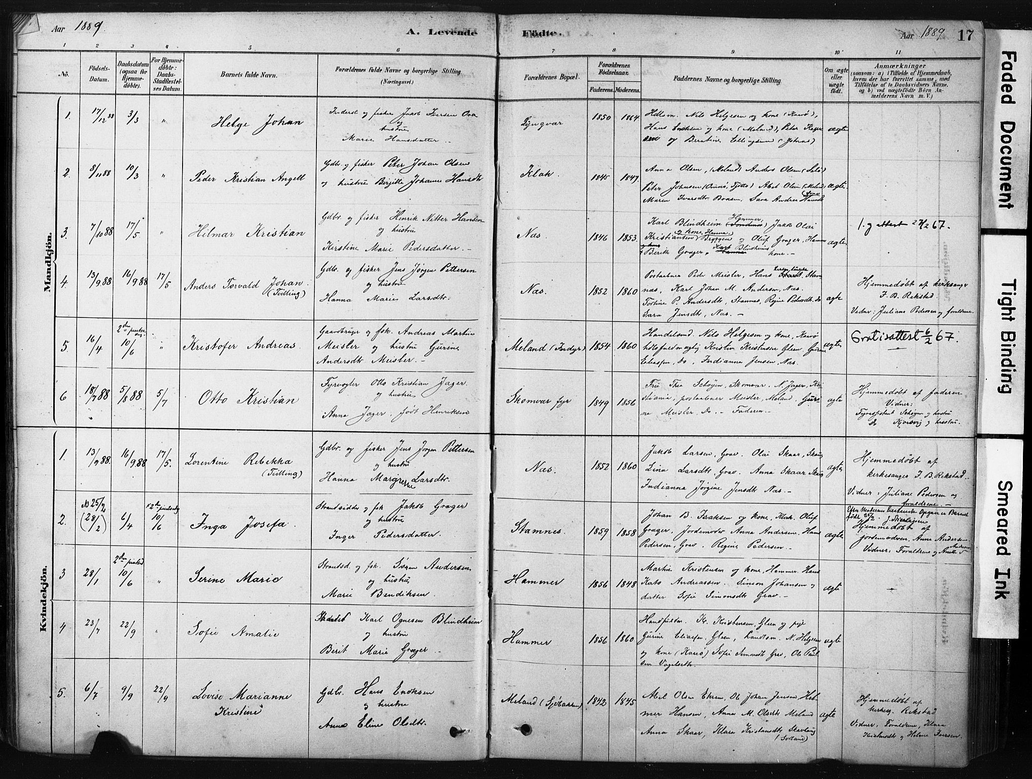 Ministerialprotokoller, klokkerbøker og fødselsregistre - Nordland, AV/SAT-A-1459/808/L0128: Parish register (official) no. 808A01, 1880-1902, p. 17