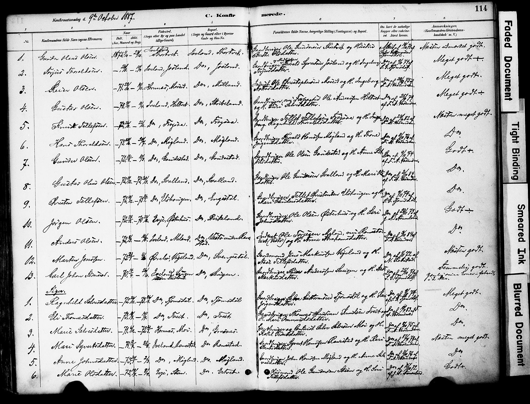 Evje sokneprestkontor, AV/SAK-1111-0008/F/Fa/Fac/L0003: Parish register (official) no. A 3, 1884-1909, p. 114