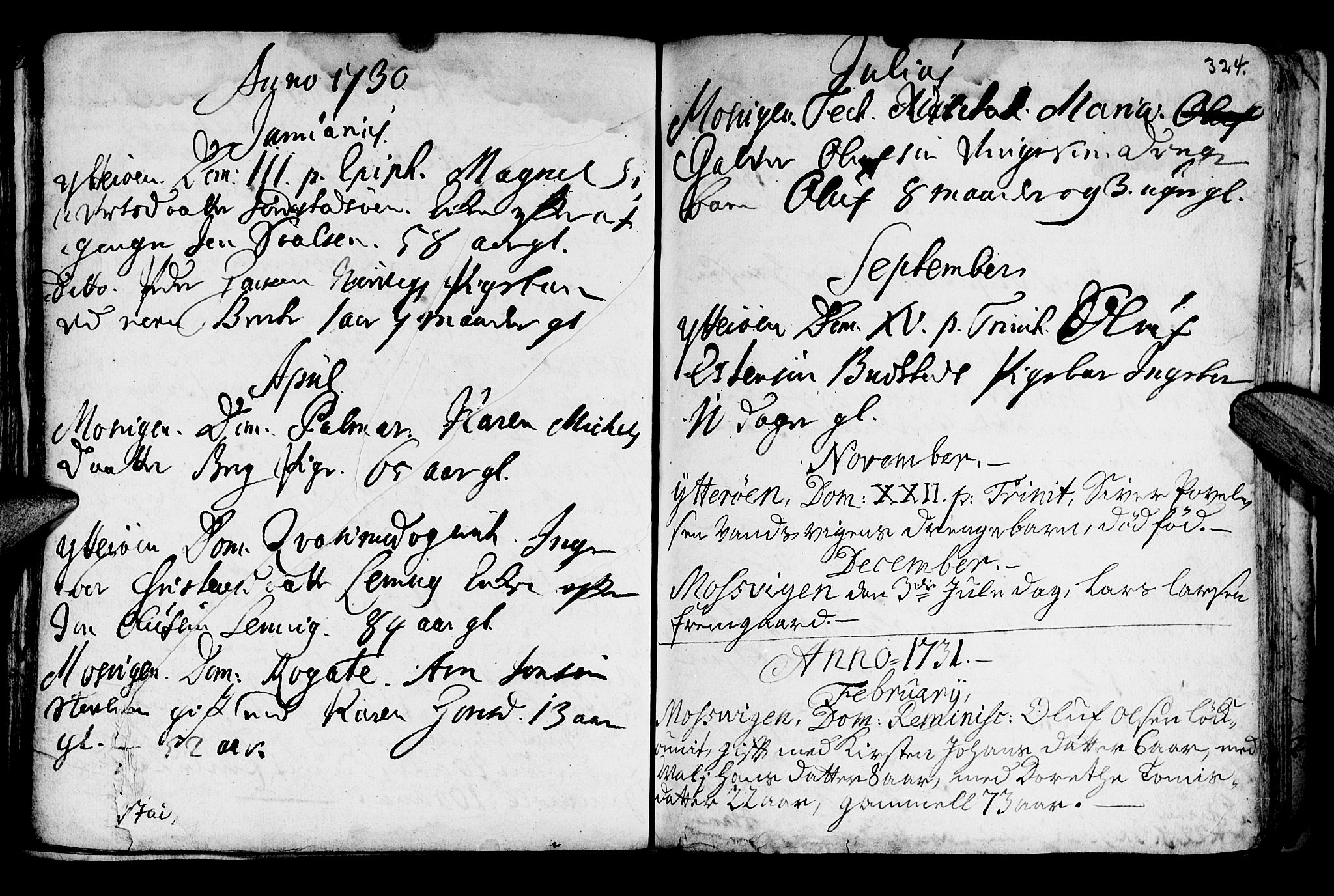 Ministerialprotokoller, klokkerbøker og fødselsregistre - Nord-Trøndelag, SAT/A-1458/722/L0215: Parish register (official) no. 722A02, 1718-1755, p. 324
