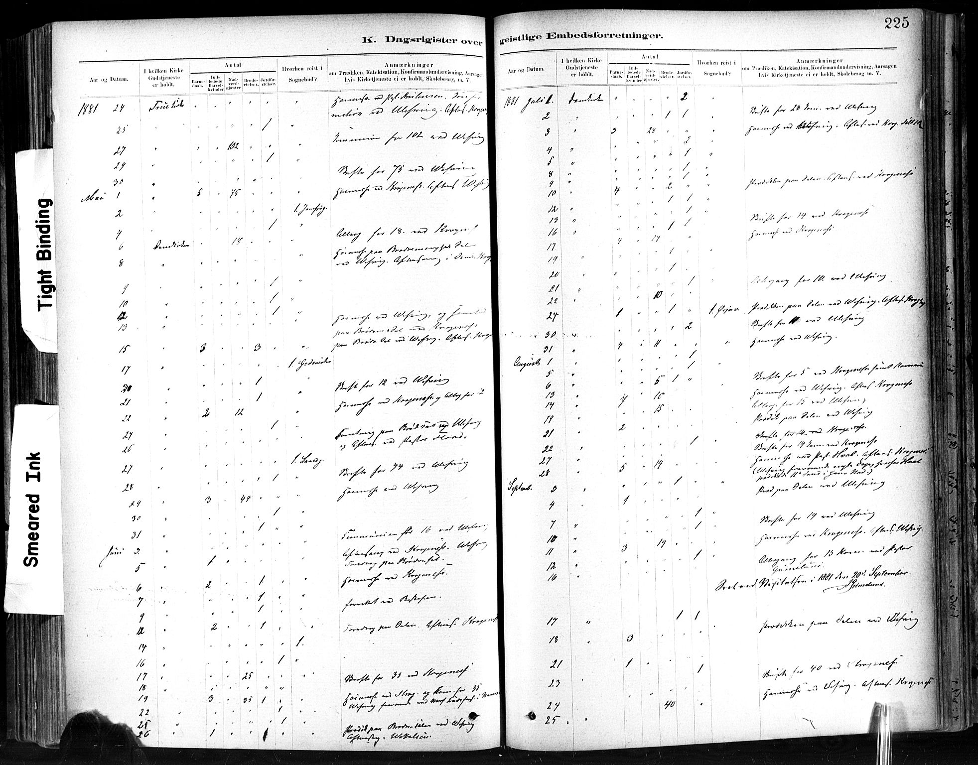Ministerialprotokoller, klokkerbøker og fødselsregistre - Sør-Trøndelag, SAT/A-1456/602/L0120: Parish register (official) no. 602A18, 1880-1913, p. 225