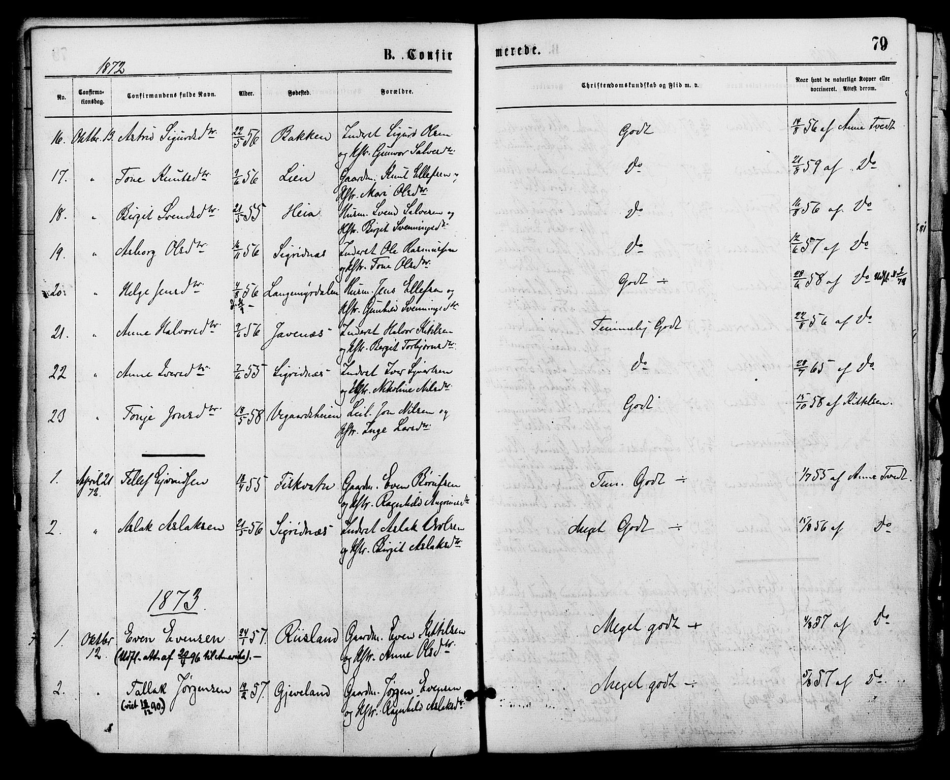 Åmli sokneprestkontor, SAK/1111-0050/F/Fa/Fac/L0009: Parish register (official) no. A 9 /1, 1869-1884, p. 79