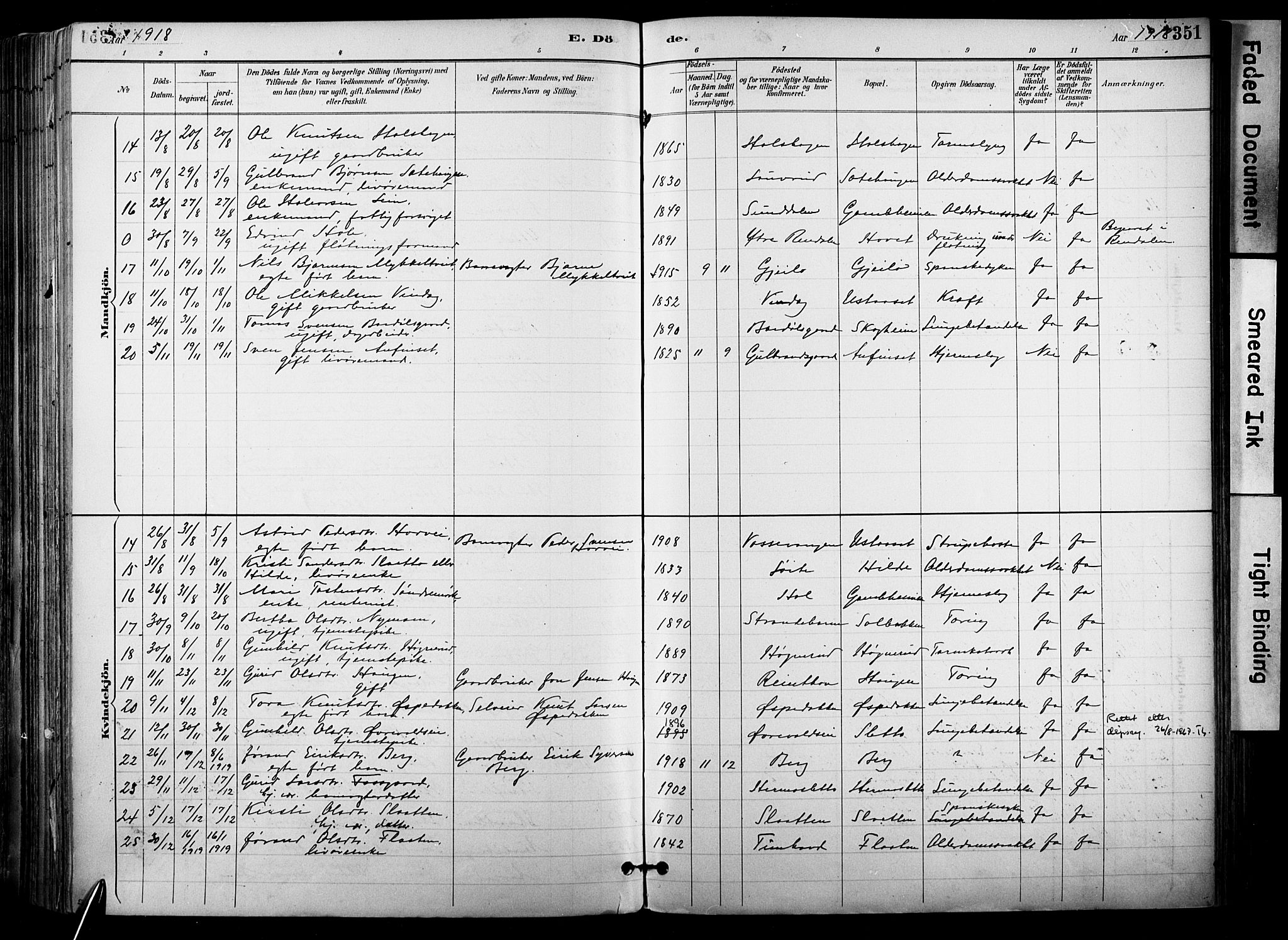 Hol kirkebøker, AV/SAKO-A-227/F/Fa/L0003: Parish register (official) no. I 3, 1887-1918, p. 351