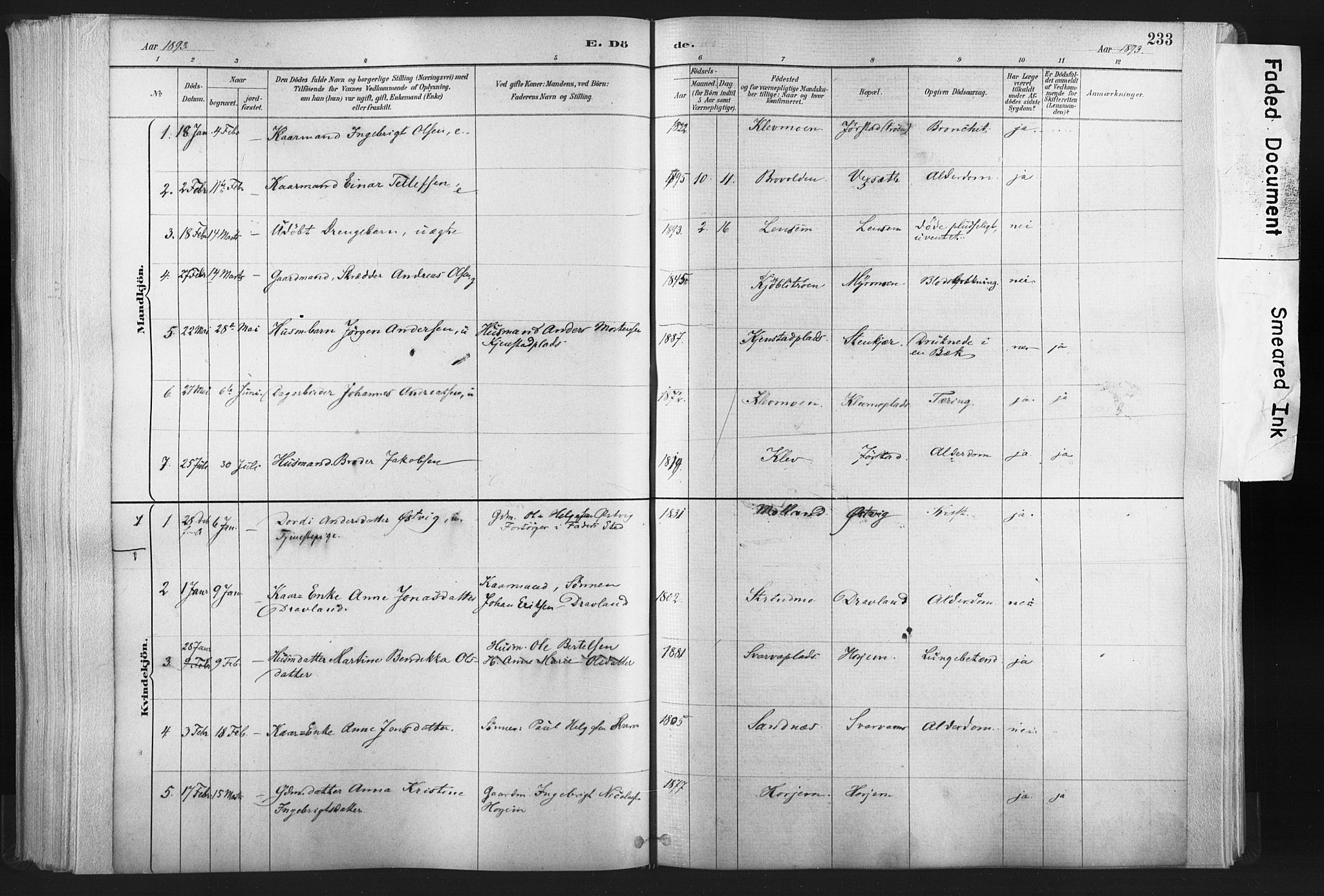 Ministerialprotokoller, klokkerbøker og fødselsregistre - Nord-Trøndelag, SAT/A-1458/749/L0474: Parish register (official) no. 749A08, 1887-1903, p. 233